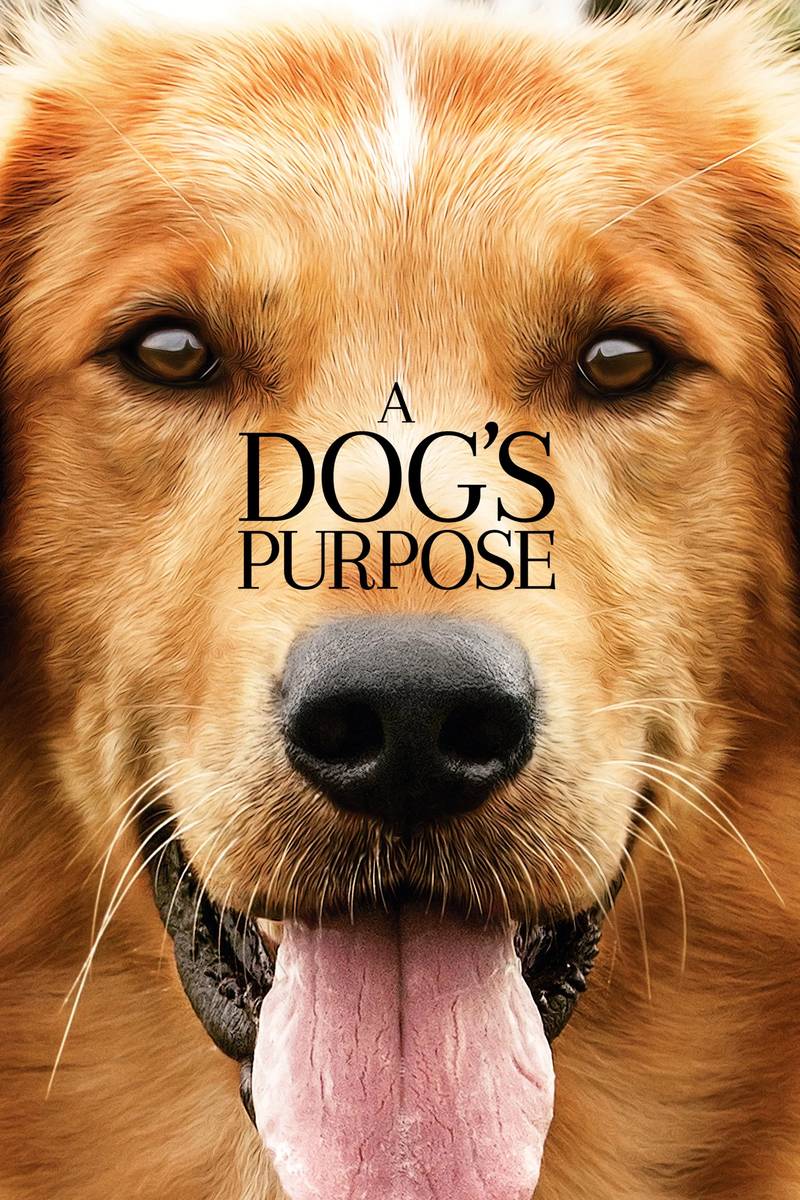 Poster chính thức của phim Phim Phiêu Lưu, Phim Hài "Mục Đích Sống Của Một Chú Chó" (A Dog's Purpose - 2017), với sự tham gia của diễn viên Josh Gad và K.J. Apa.