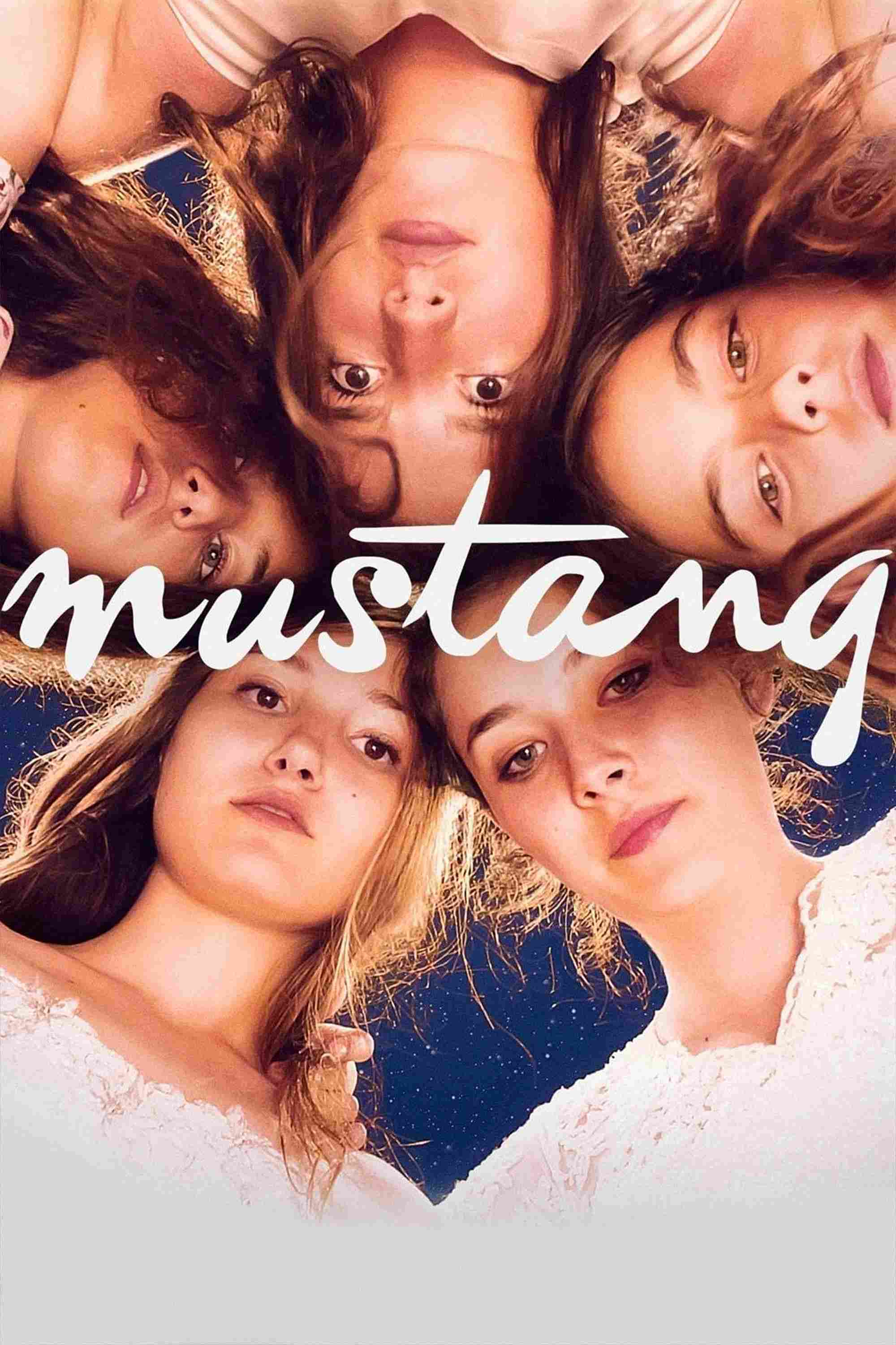 Poster chính thức của phim Phim Tâm Lý "Mustang" (Mustang - 2015), với sự tham gia của diễn viên Güneş Nezihe Şensoy và Doğa Zeynep Doğuşlu.