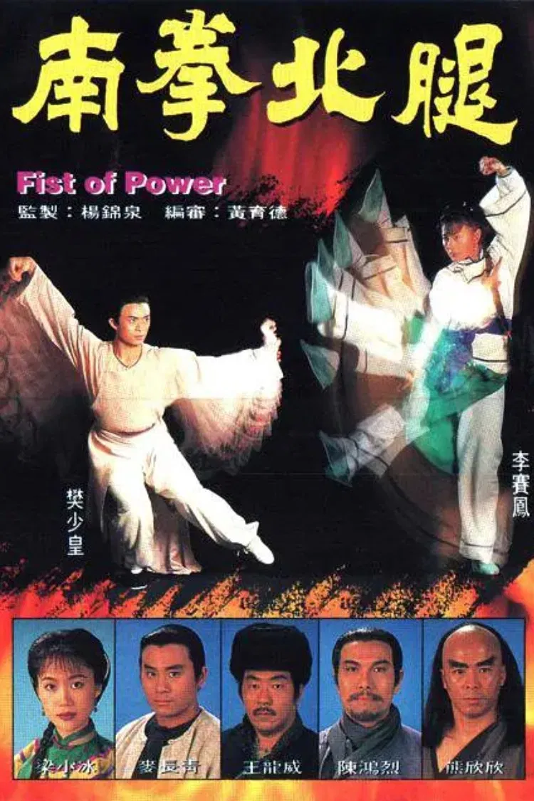Poster chính thức của phim "Nam Quyền Bắc Cước" (Fist of Power - 1995), với sự tham gia của diễn viên Noel Leung và Phàn Thiếu Hoàng.