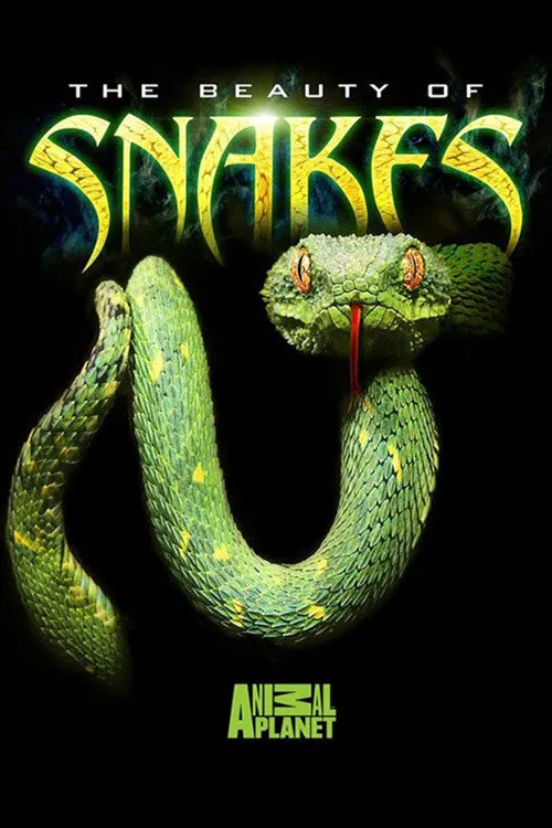 Poster chính thức của phim Phim Tài Liệu "Nét Đẹp Của Loài Rắn" (The Beauty of Snakes - 2003), với sự tham gia của diễn viên Aoife McMahon.