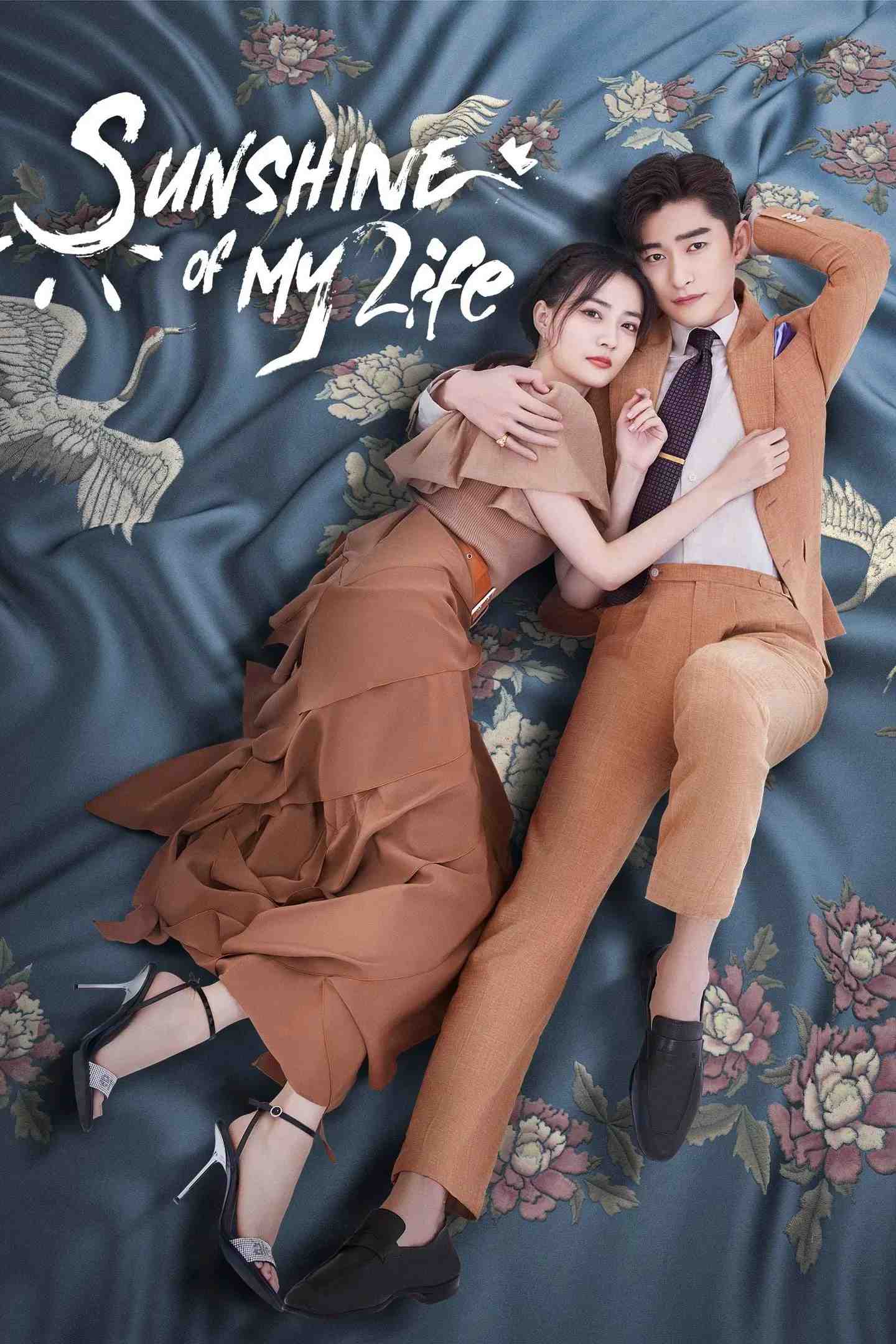 Poster chính thức của phim Phim Tâm Lý "Nếu Em Bình An Đó Mới Là Ngày Đẹp Trời" (Sunshine of My Life - 2021), với sự tham gia của diễn viên Trương Hàn và Từ Lộ.