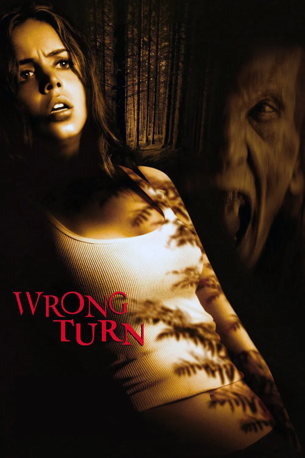 Poster chính thức của phim Phim Kinh Dị, Phim Giật Gân "Ngã Rẽ Tử Thần" (Wrong Turn - 2003), với sự tham gia của diễn viên Eliza Dushku và Desmond Harrington.