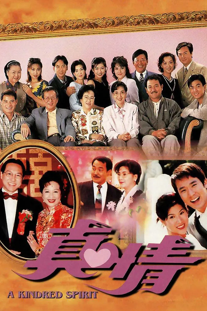 Poster chính thức của phim Phim Tâm Lý, Phim Hài "Nghĩa Nặng Tình Thâm" (A Kindred Spirit - 1995), với sự tham gia của diễn viên Louise Lee Si-Kei và Lưu Đan.