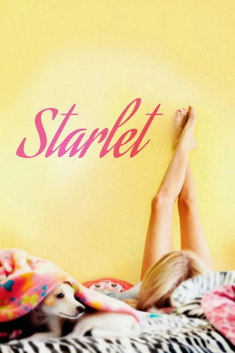 Poster chính thức của phim Phim Tâm Lý "Ngôi sao" (Starlet - 2012), với sự tham gia của diễn viên Dree Hemingway và Besedka Johnson.