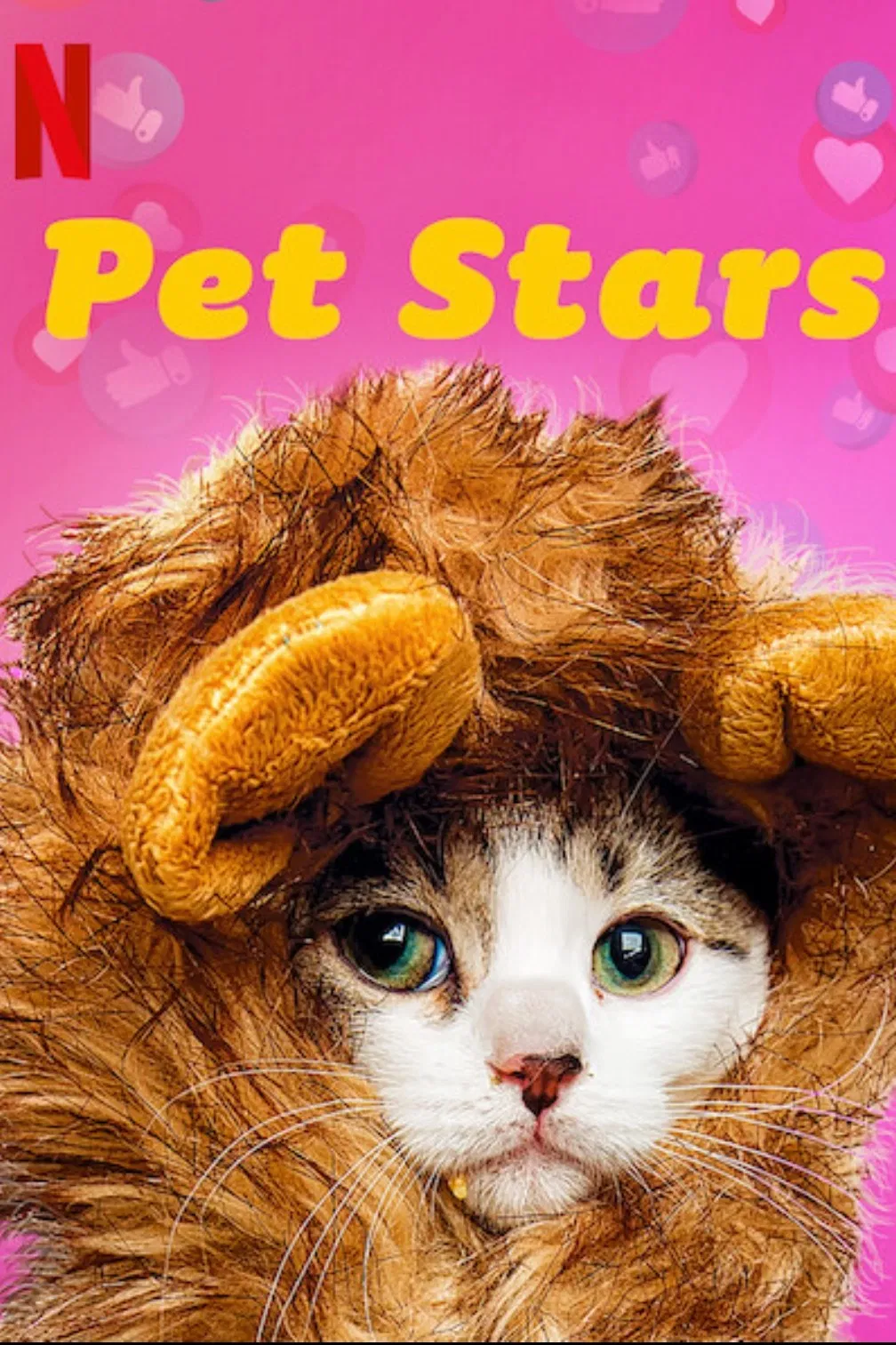 Poster chính thức của phim Truyền Hình Thực Tế "Ngôi sao thú cưng" (Pet Stars - 2021).