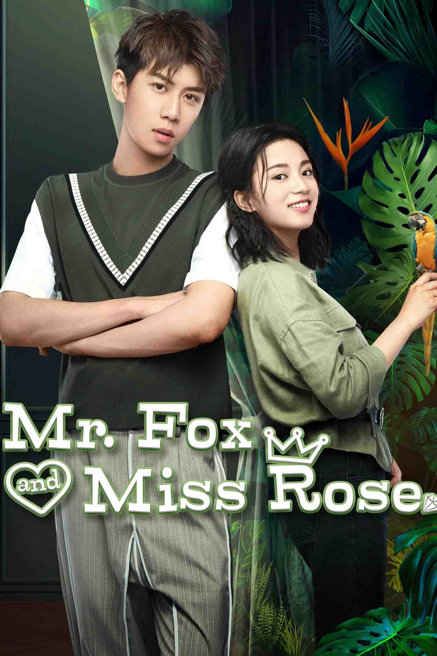 Poster chính thức của phim Phim Hài, Phim Hành Động & Phiêu Lưu "Người đàn ông của tù trưởng" (Mr. Fox and Miss Rose - 2020), với sự tham gia của diễn viên Trương Nhã Khâm và Ren Youlun.