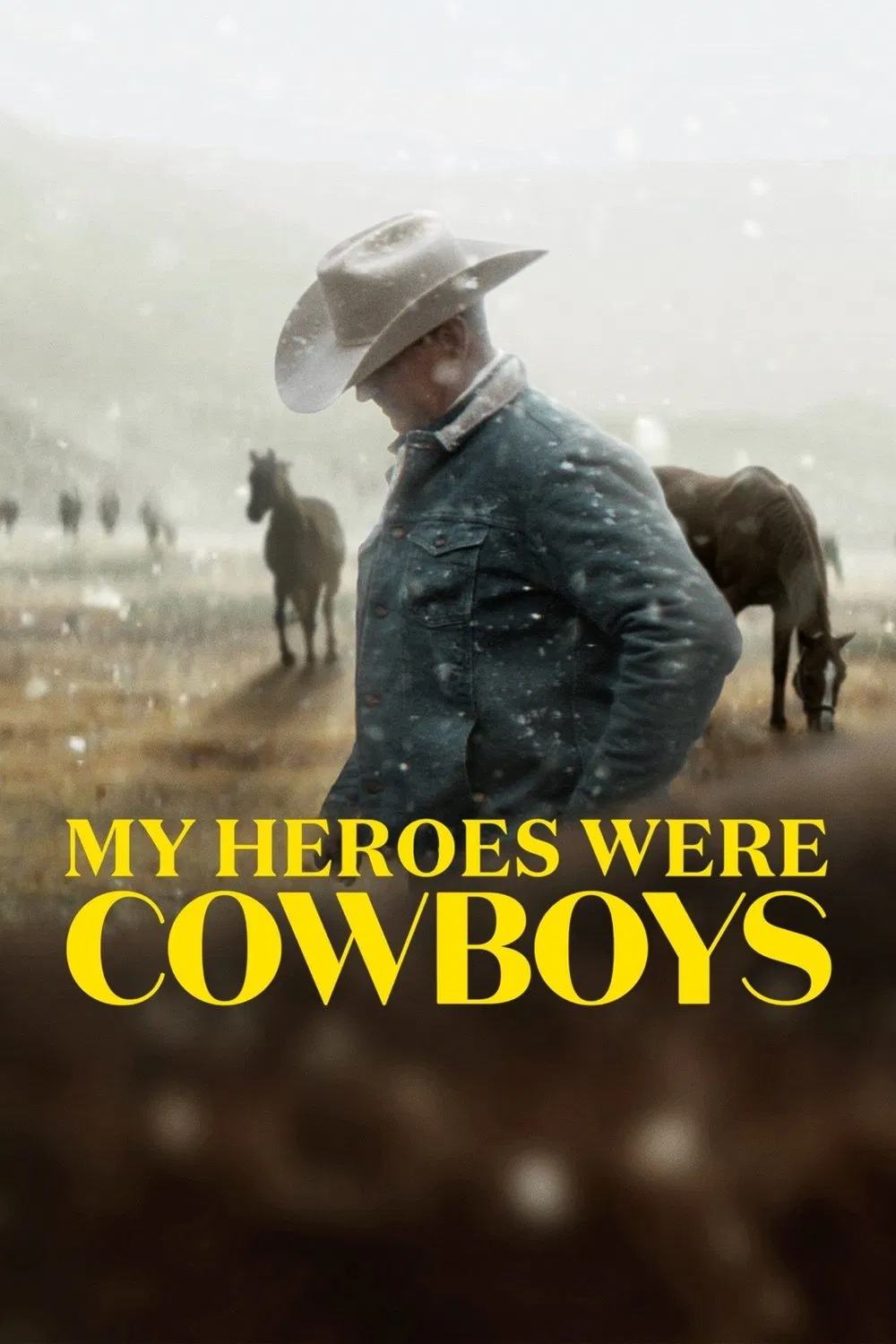 Poster chính thức của phim Phim Tài Liệu, Phim Miền Tây "Người Hùng Cao Bồi Của Tôi" (My Heroes Were Cowboys - 2021).