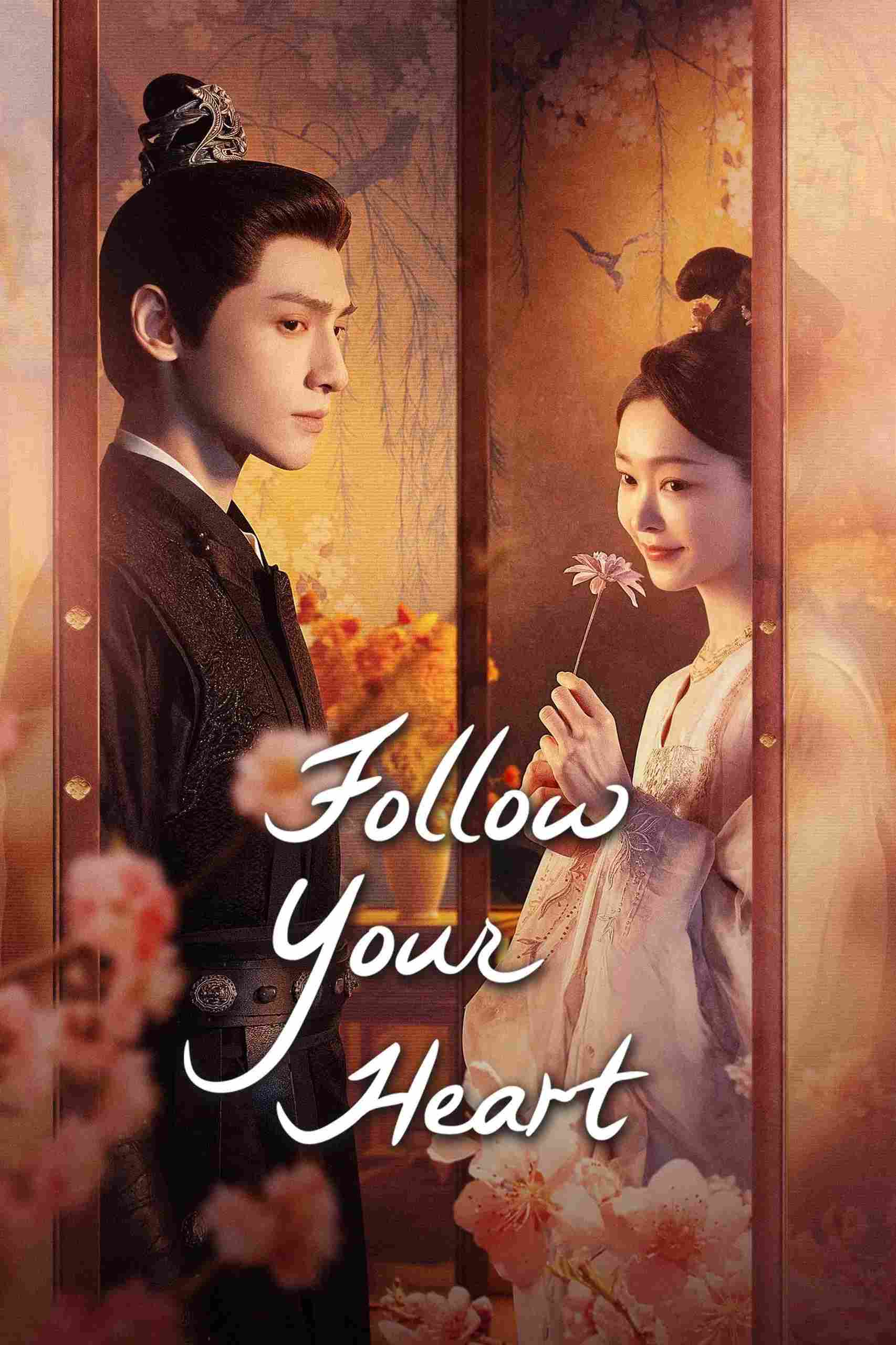 Poster chính thức của phim Phim Bí Ẩn, Phim Hài "Nhan Tâm Ký" (Follow Your Heart - 2024), với sự tham gia của diễn viên La Vân Hi và Tống Dật.