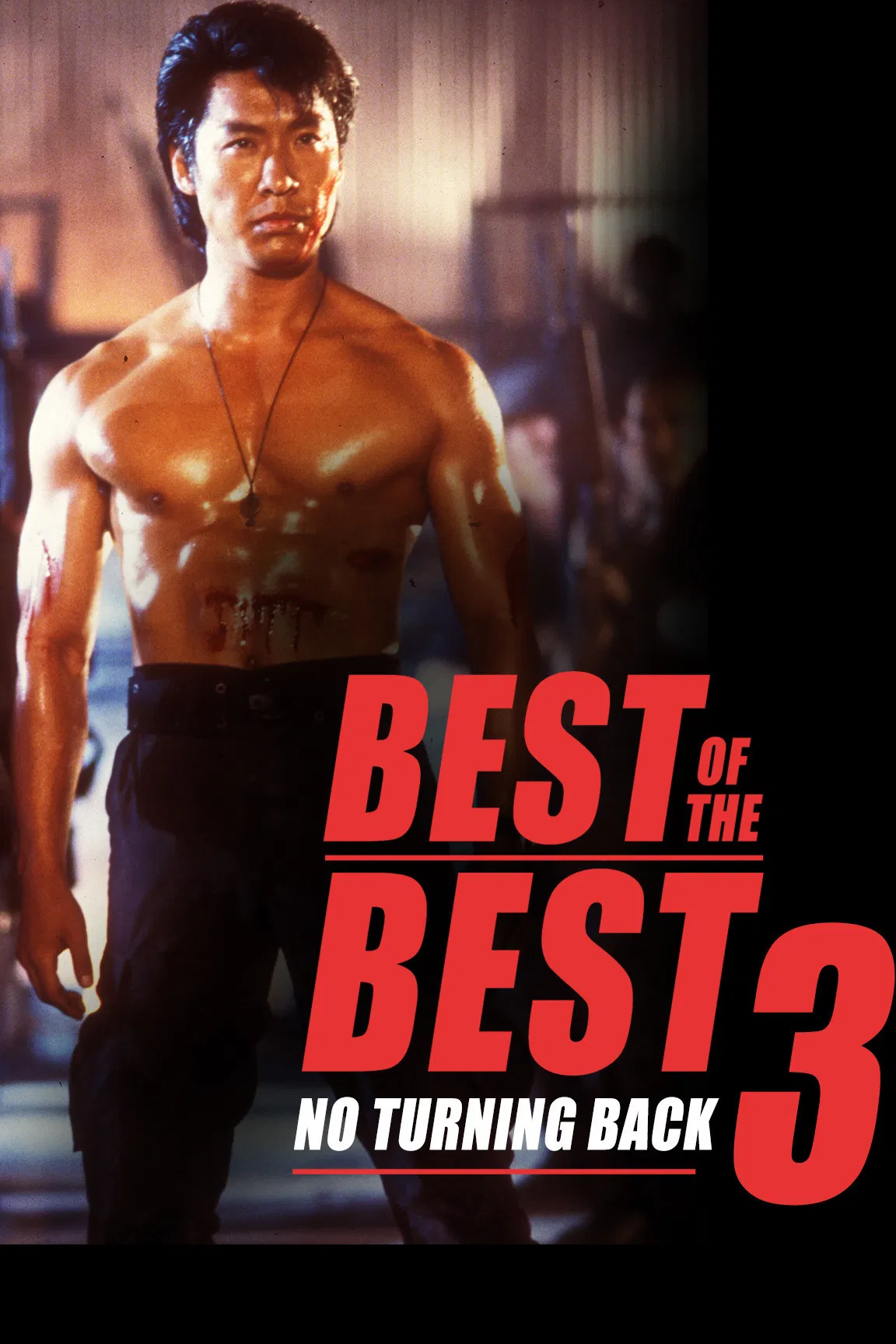 Poster chính thức của phim Phim Hành Động, Phim Hình Sự "Nhất Đẳng Karate 3" (Best of the Best 3: No Turning Back - 1995), với sự tham gia của diễn viên Phillip Rhee và Christopher McDonald.