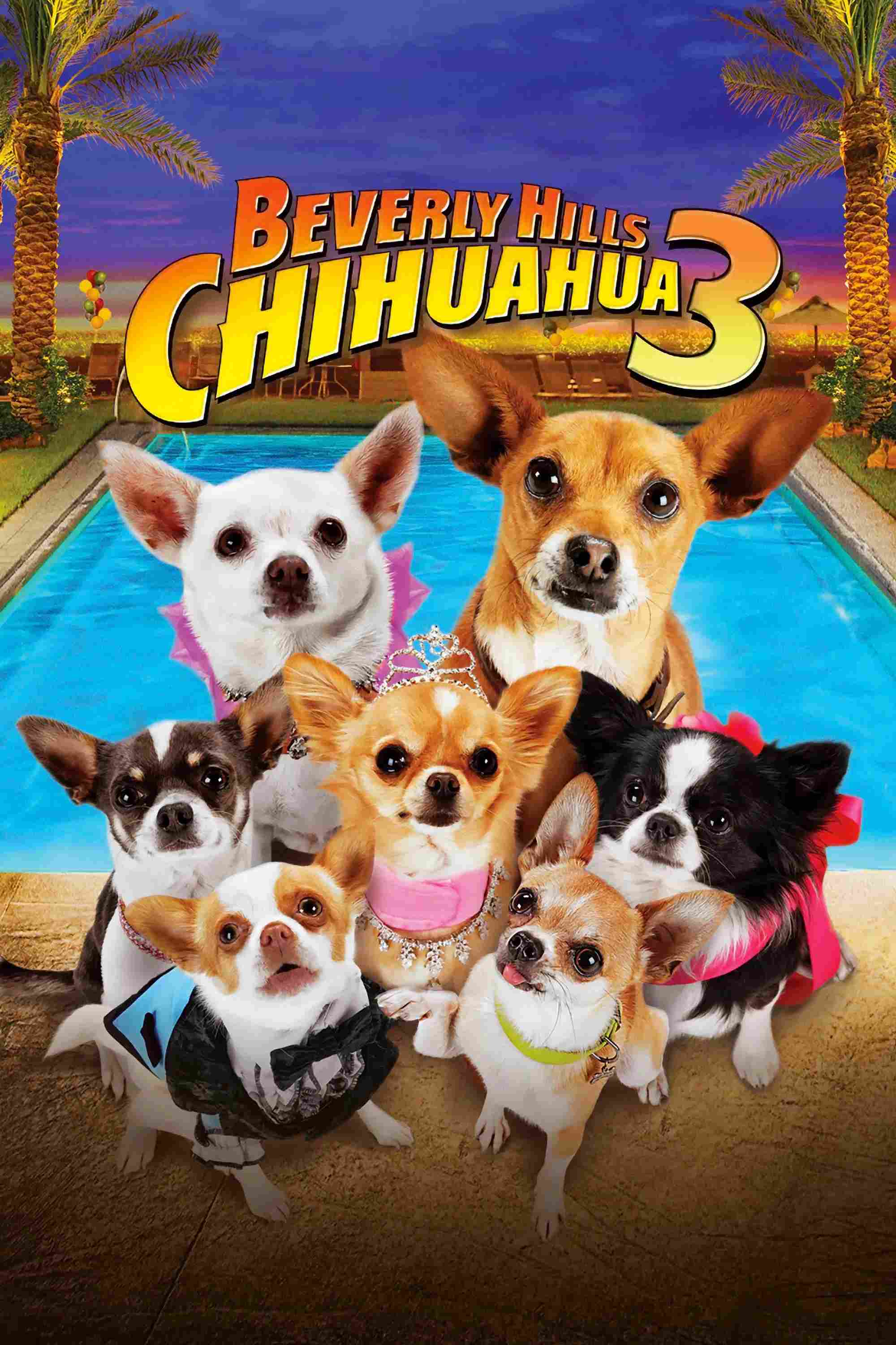 Poster chính thức của phim Phim Hài, Phim Gia Đình "Những Chú Chó Chihuahua 3" (Beverly Hills Chihuahua 3: Viva la Fiesta! - 2012), với sự tham gia của diễn viên George López và Frances Fisher.
