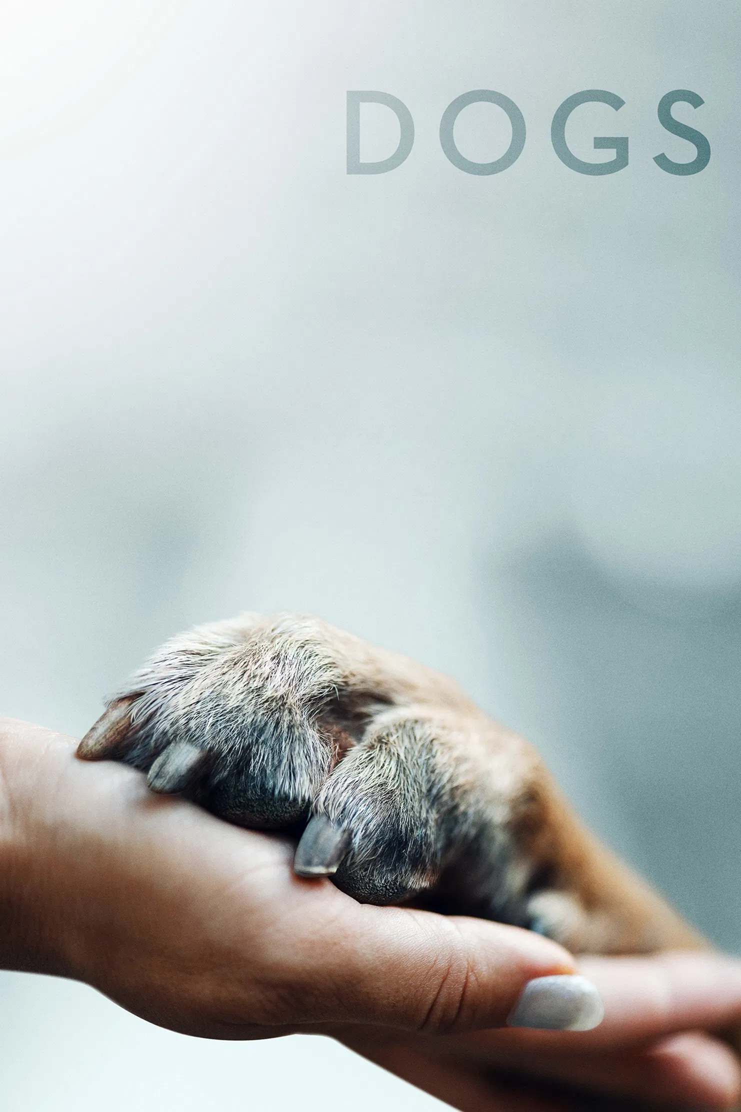 Poster chính thức của phim Phim Tài Liệu "Những Chú Chó" (Dogs - 2018).