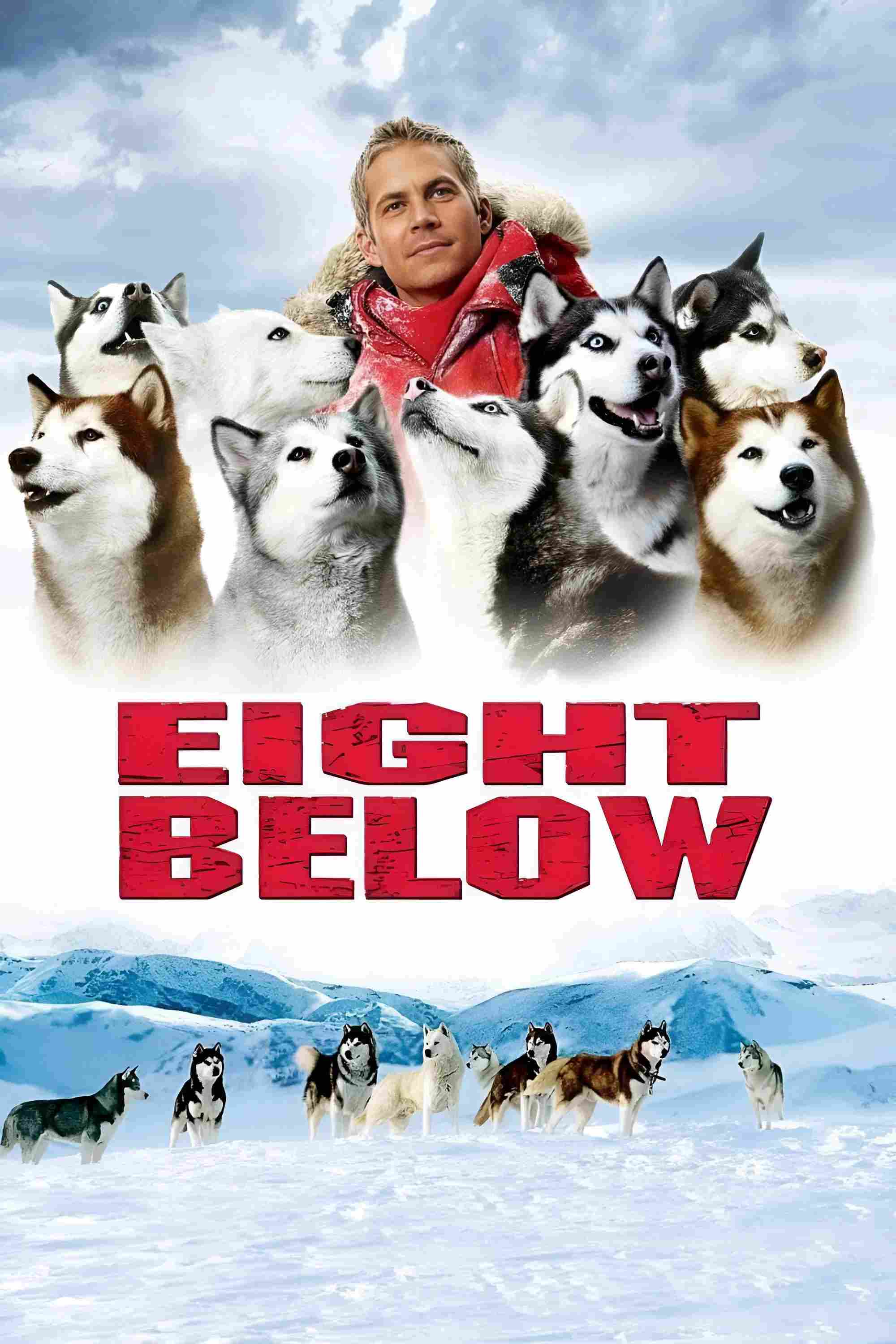 Poster chính thức của phim Phim Phiêu Lưu, Phim Tâm Lý "Những Chú Chó Dũng Cảm" (Eight Below - 2006), với sự tham gia của diễn viên Paul Walker và Moon Bloodgood.