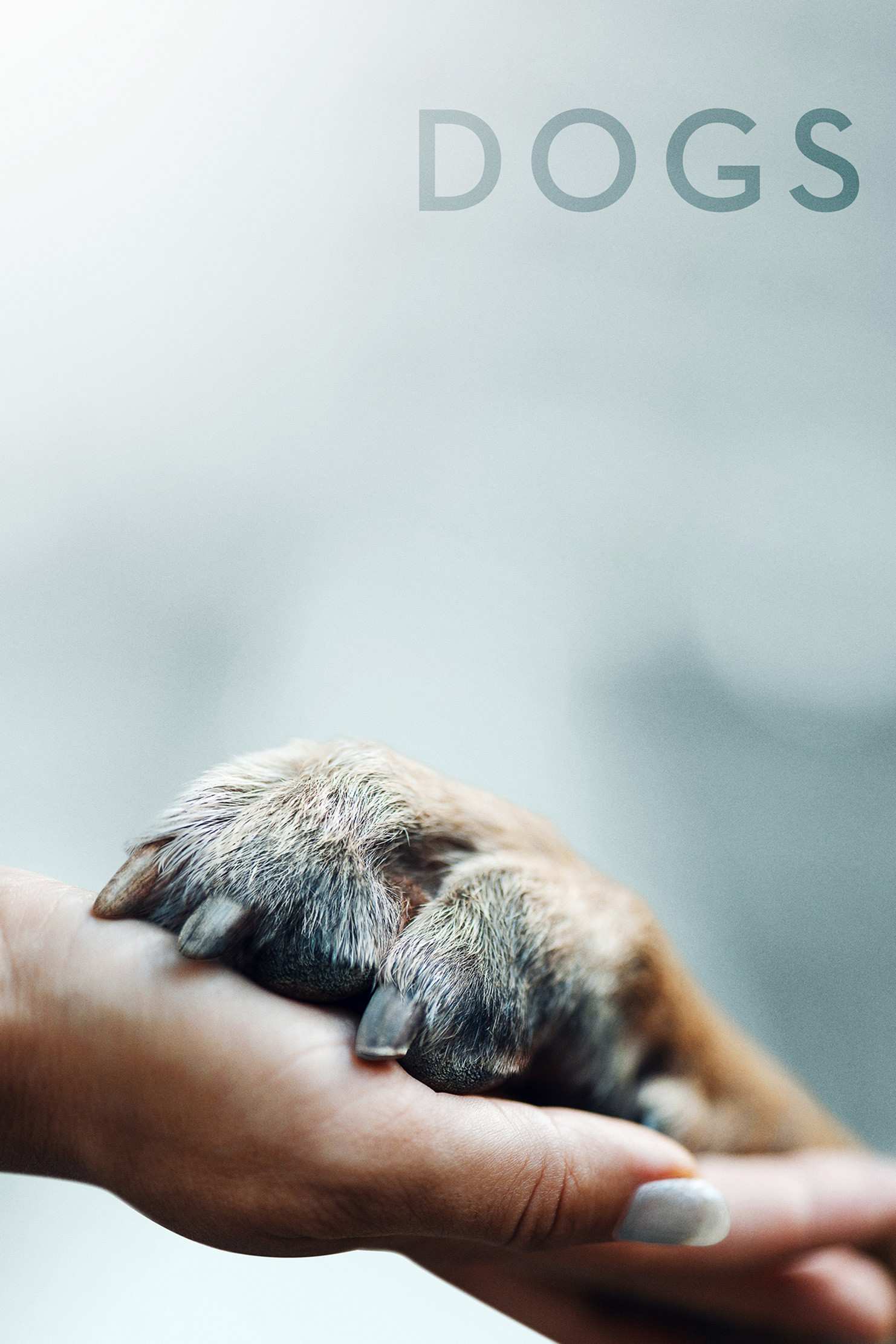 Poster chính thức của phim Phim Tài Liệu "Những Chú Chó (Phần 2)" (Dogs - 2018).