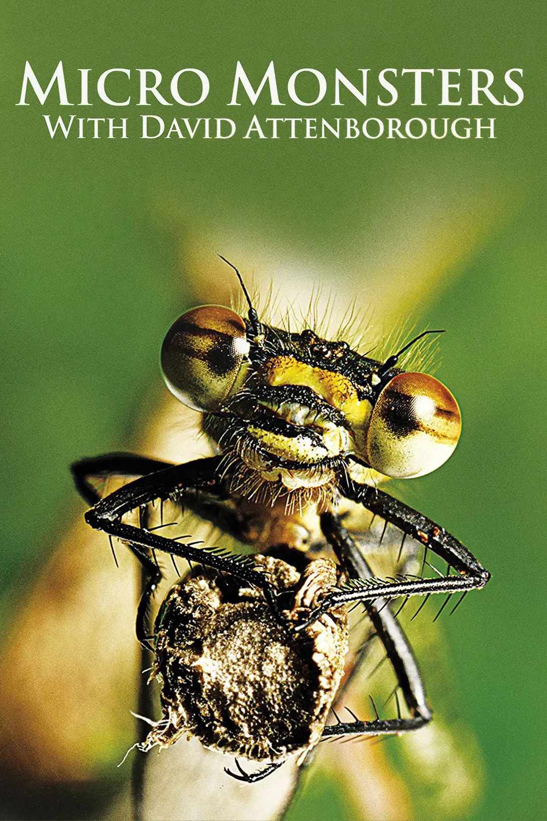 Poster chính thức của phim Phim Tài Liệu "Những Quái Vật Tý Hon" (Micro Monsters with David Attenborough - 2013), với sự tham gia của diễn viên David Attenborough.