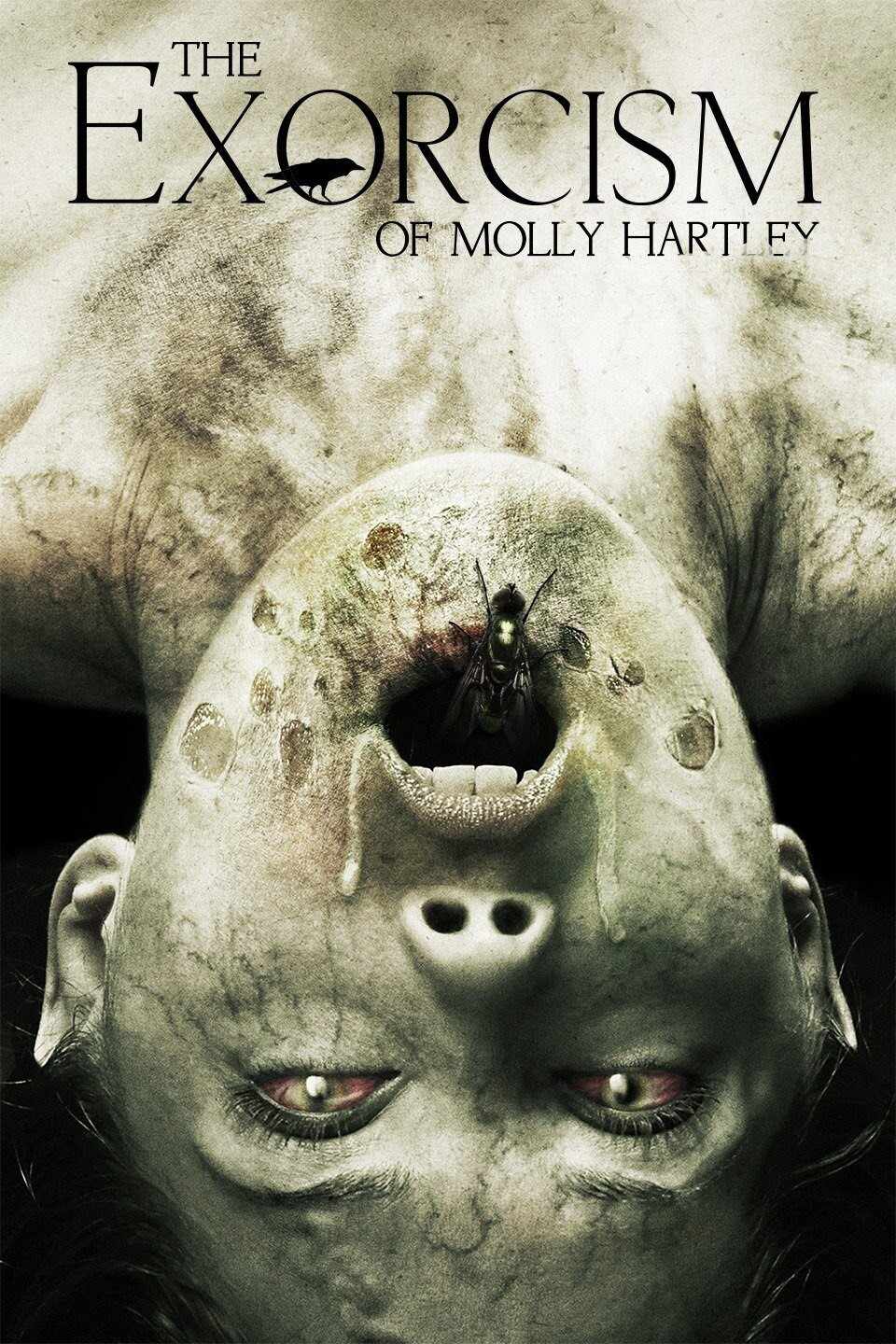 Poster chính thức của phim Phim Kinh Dị "Nỗi Ám Ảnh Của Molly" (The Exorcism of Molly Hartley - 2015), với sự tham gia của diễn viên Sarah Lind và Devon Sawa.