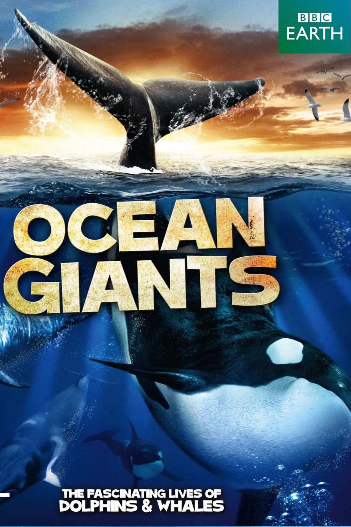 Poster chính thức của phim Phim Tài Liệu "Ocean Giants" (Ocean Giants - 2011), với sự tham gia của diễn viên Stephen Fry và Doug Allan.