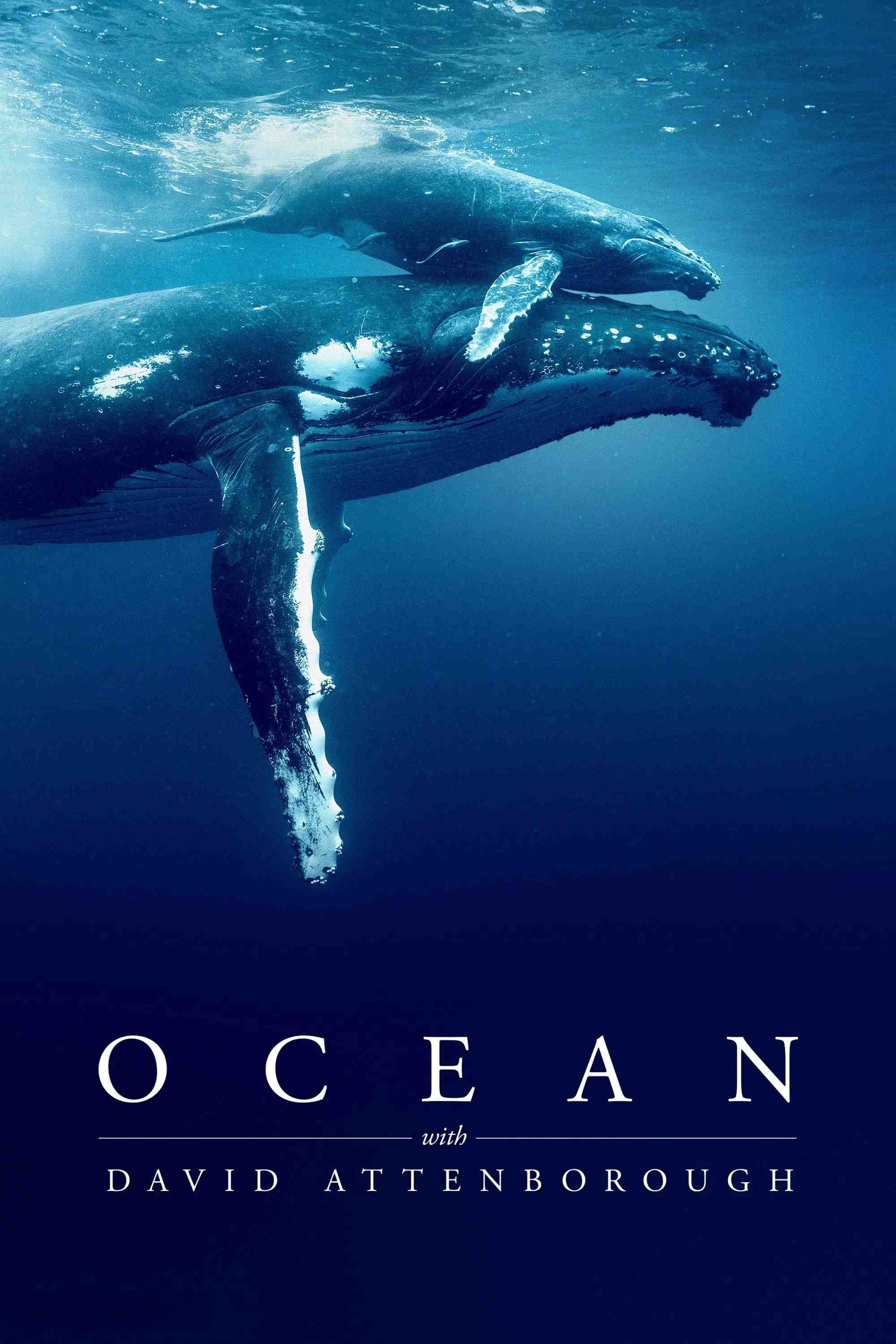 Poster chính thức của phim Phim Tài Liệu "Ocean with David Attenborough" (Ocean with David Attenborough - 2025), với sự tham gia của diễn viên David Attenborough.