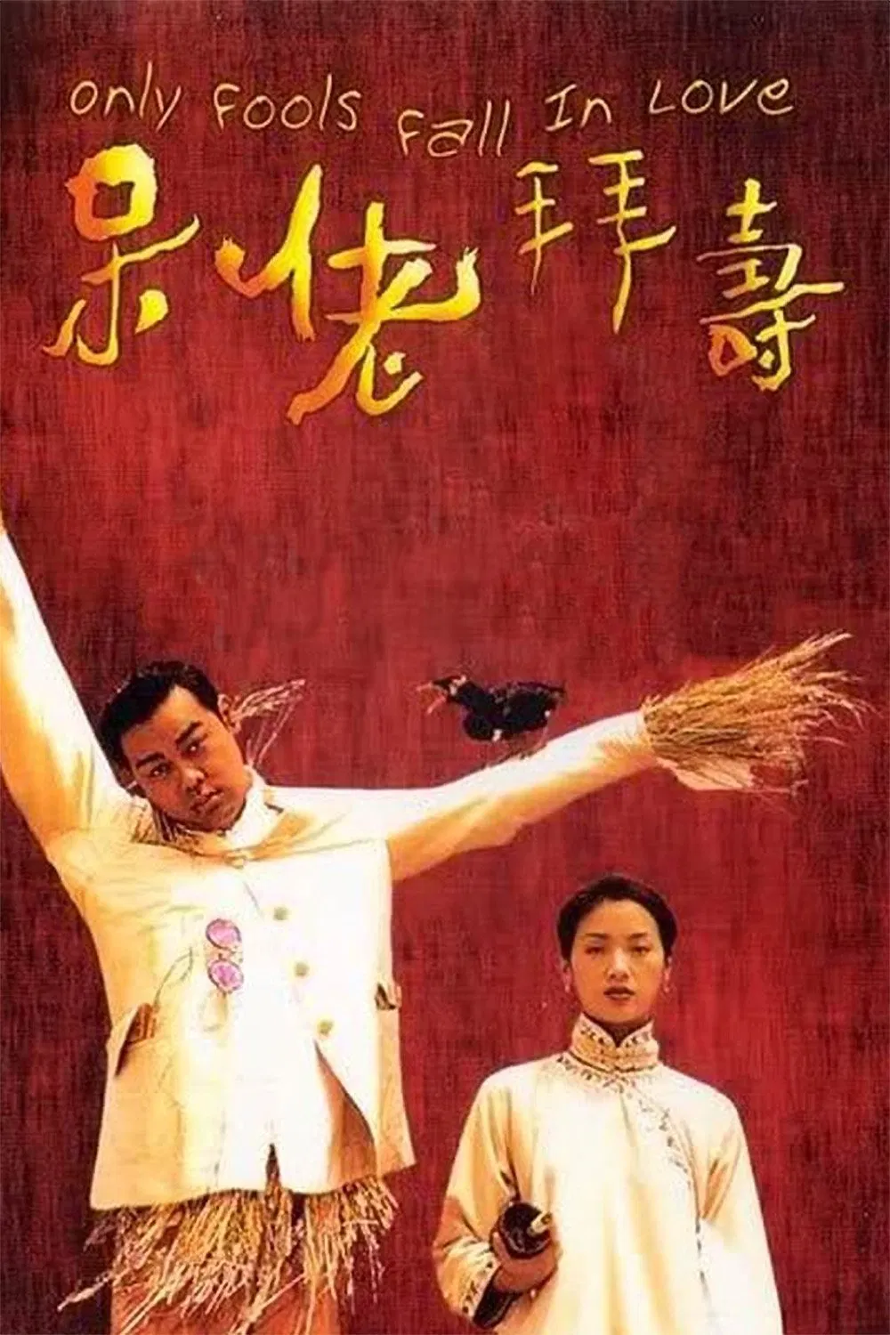 Poster chính thức của phim Phim Tâm Lý, Phim Hài "Only Fools Fall in Love" (Only Fools Fall in Love - 1995), với sự tham gia của diễn viên Lưu Thanh Vân và Ngô Thanh Liên.