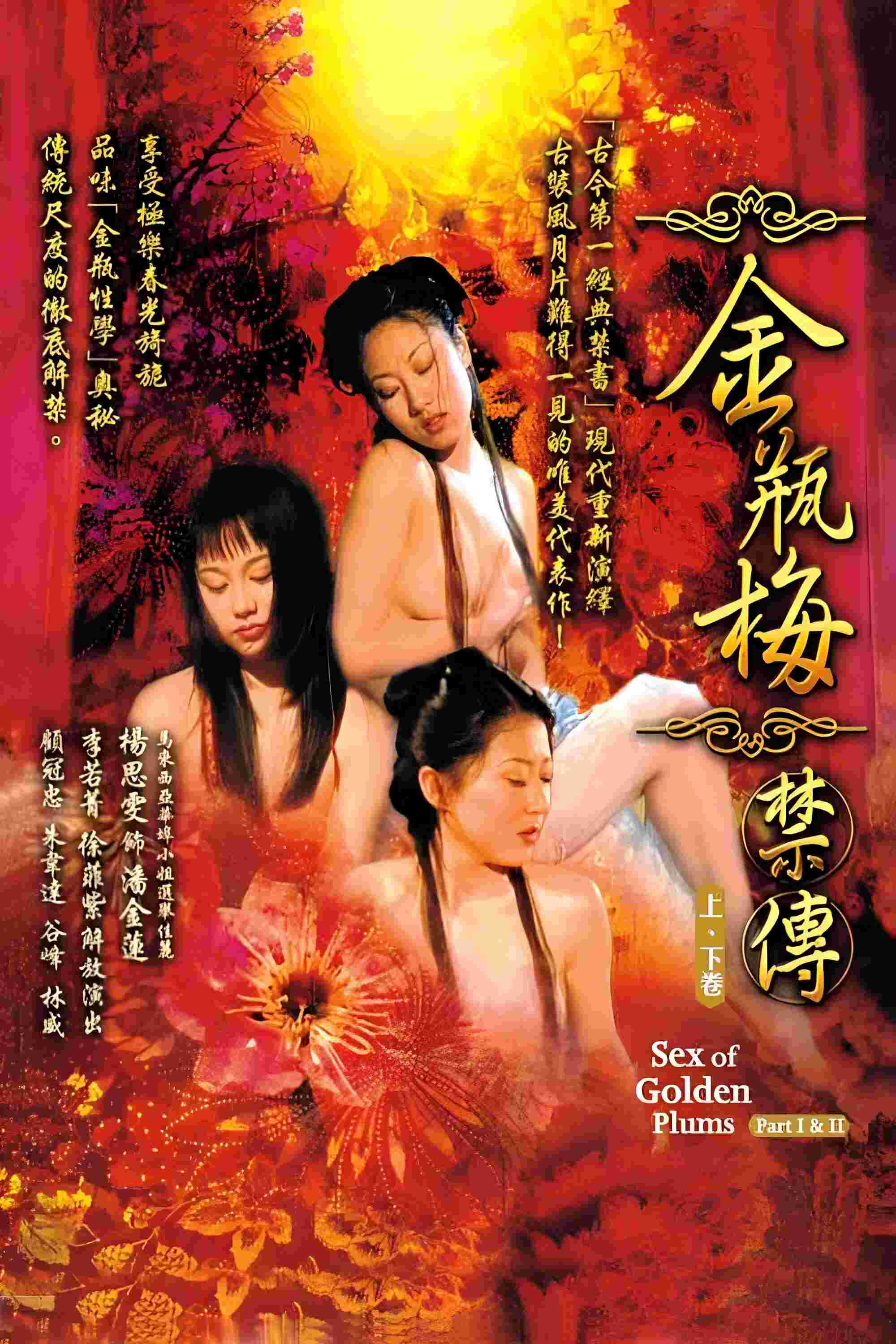 Poster chính thức của phim "Phan Kim Liên dị bản" (金瓶梅禁传 下卷 - 2008), với sự tham gia của diễn viên Cố Quán Trung.