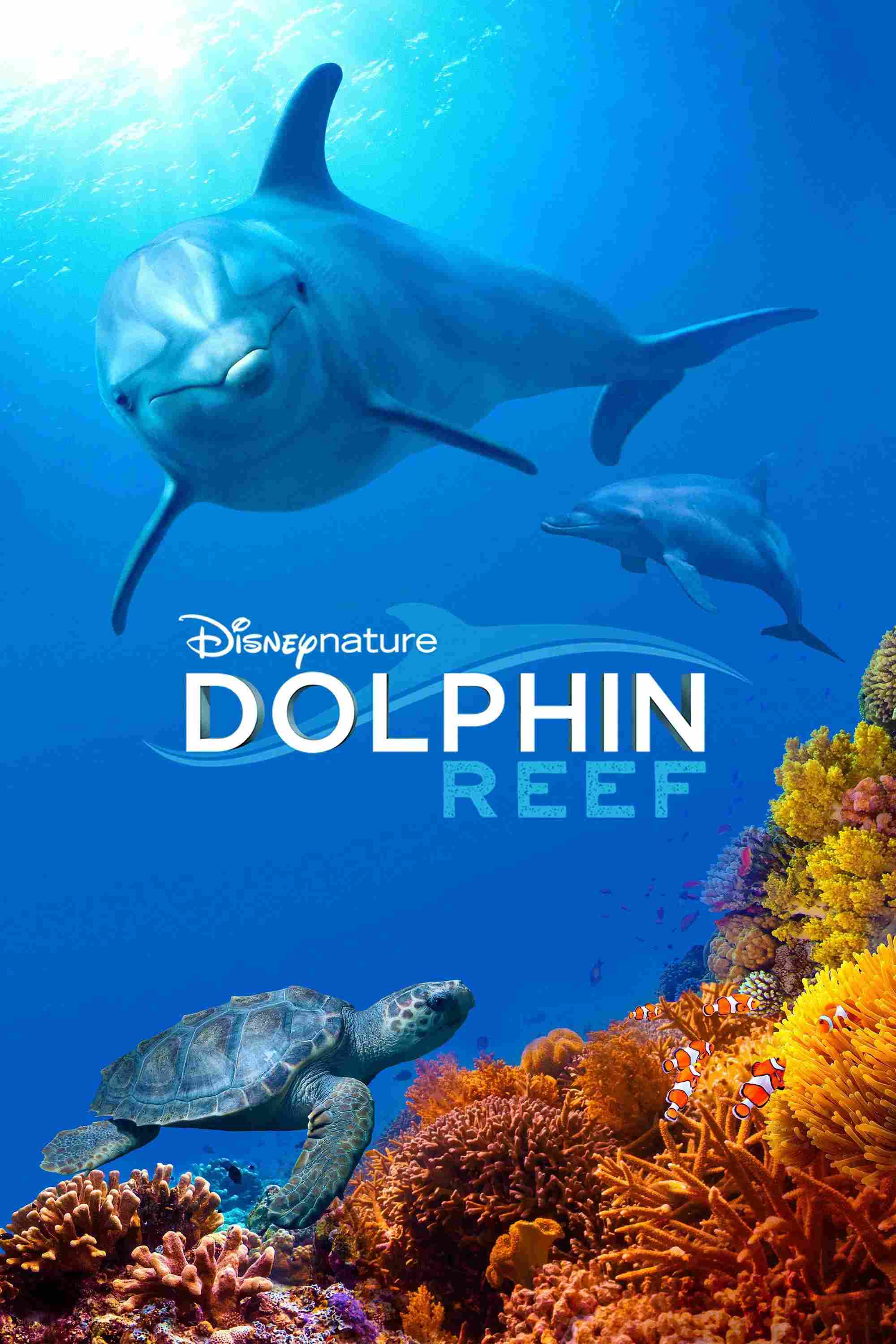 Poster chính thức của phim Phim Tài Liệu, Phim Gia Đình "Rạn San Hô Cá Heo" (Dolphin Reef - 2018), với sự tham gia của diễn viên Natalie Portman.