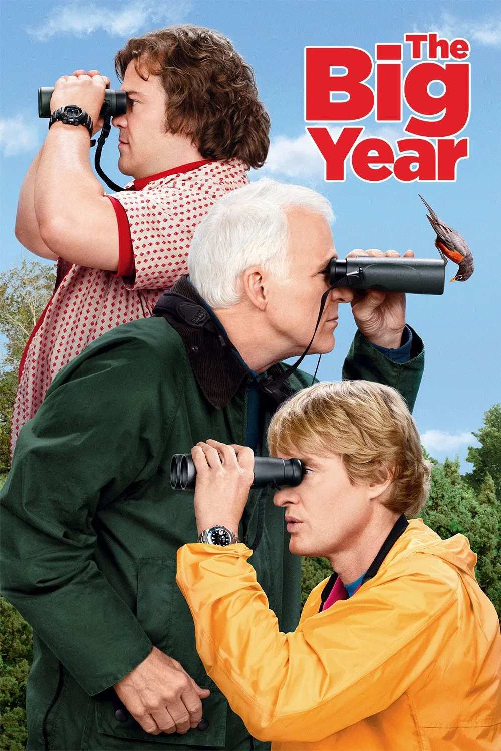 Poster chính thức của phim Phim Hài "Săn Tìm Chim Quý" (The Big Year - 2011), với sự tham gia của diễn viên Steve Martin và Jack Black.