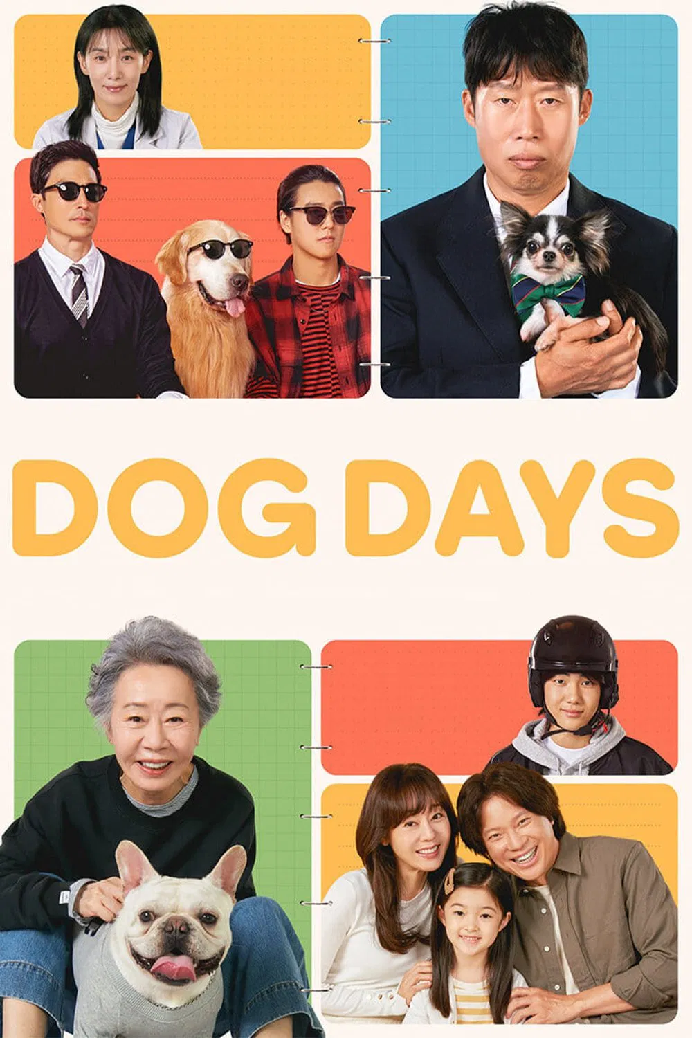 Poster chính thức của phim Phim Tâm Lý, Phim Hài "Sen Boss Sum Vầy" (Dog Days - 2024), với sự tham gia của diễn viên Youn Yuh-jung và Yoo Hai-jin.