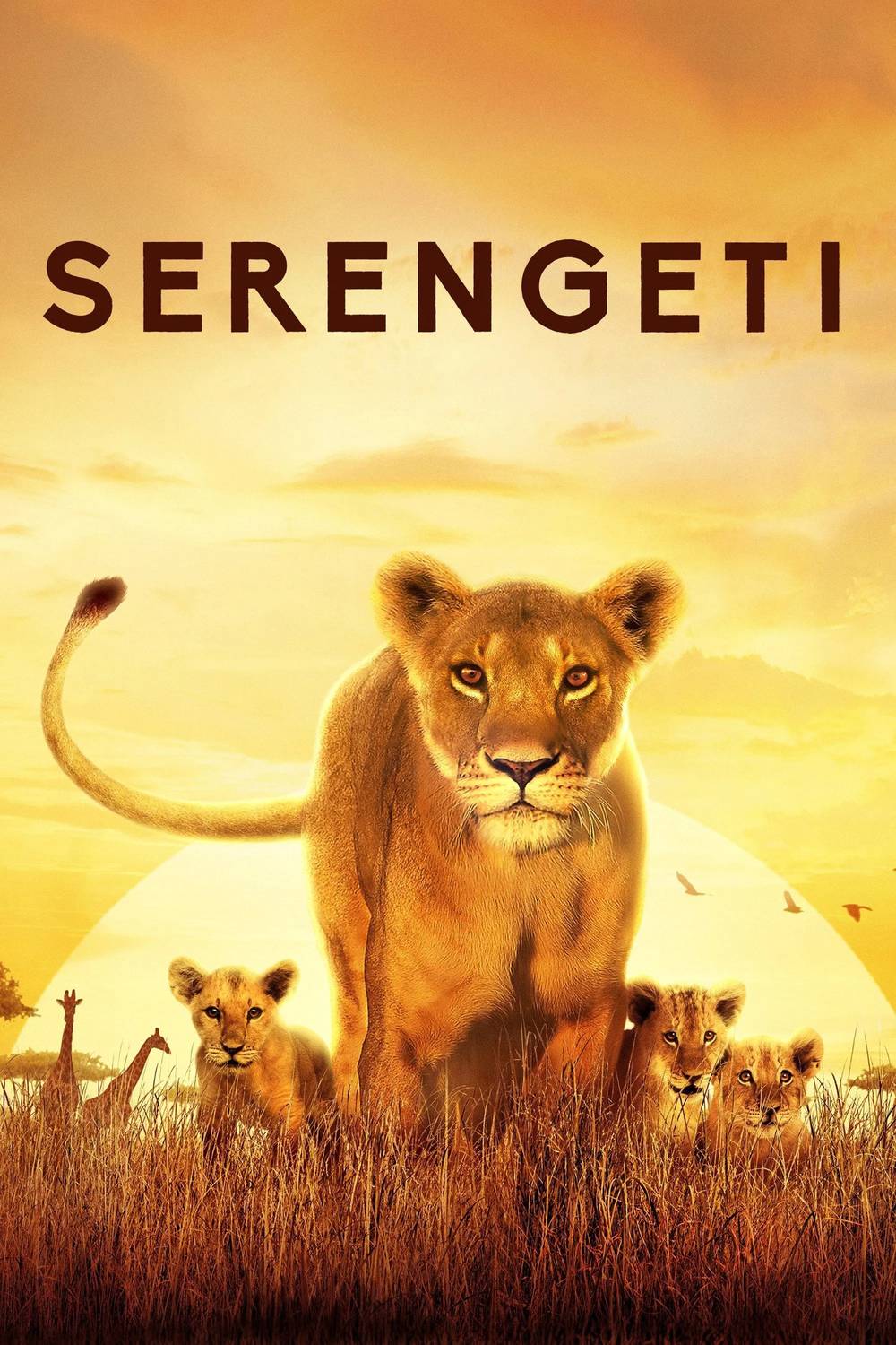 Poster chính thức của phim Phim Tài Liệu "Serengeti" (Serengeti - 2019), với sự tham gia của diễn viên Adjoa Andoh.