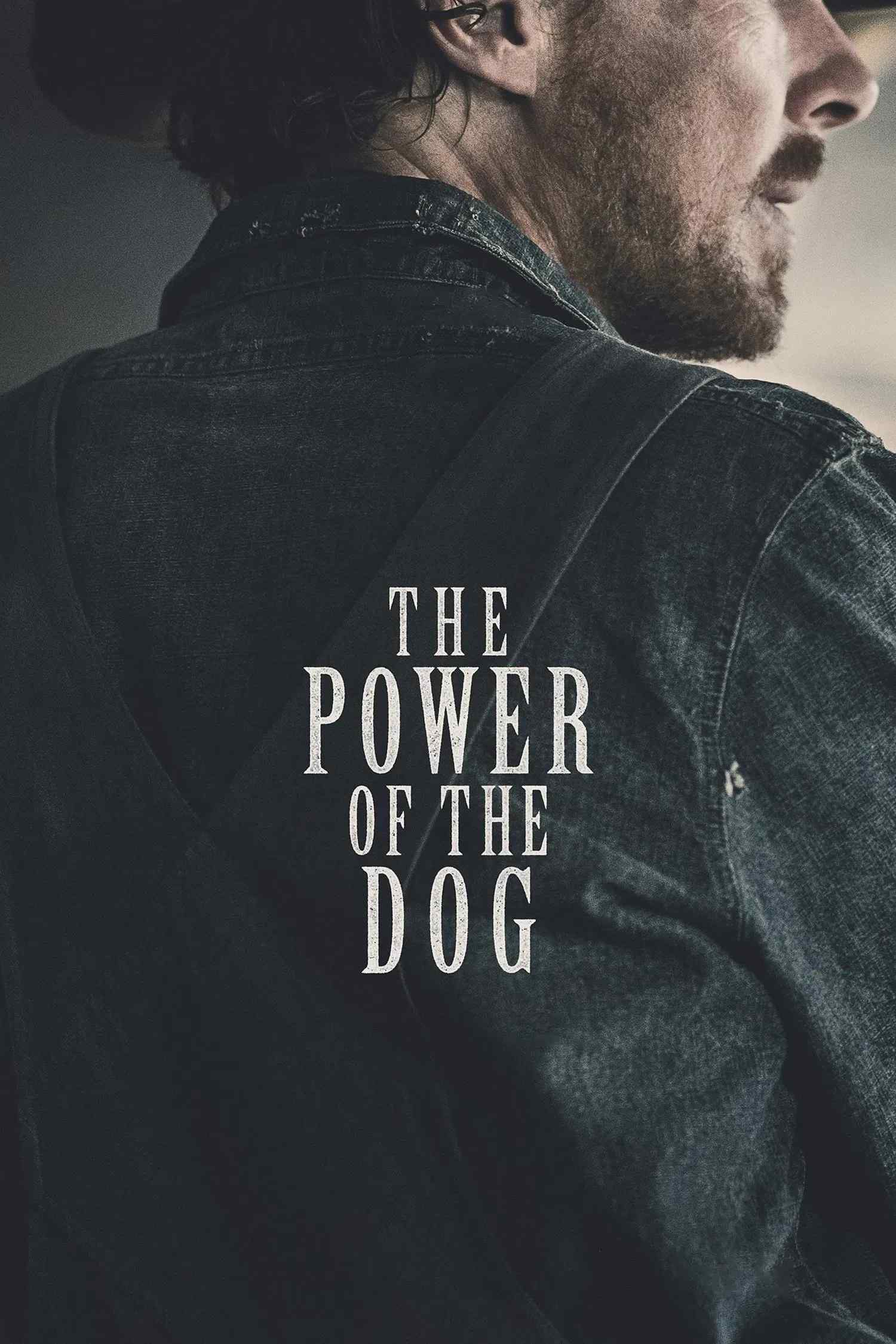 Poster chính thức của phim Phim Tâm Lý, Phim Miền Tây "Sức Mạnh Của Loài Chó" (The Power of the Dog - 2021), với sự tham gia của diễn viên Benedict Cumberbatch và Kodi Smit-McPhee.