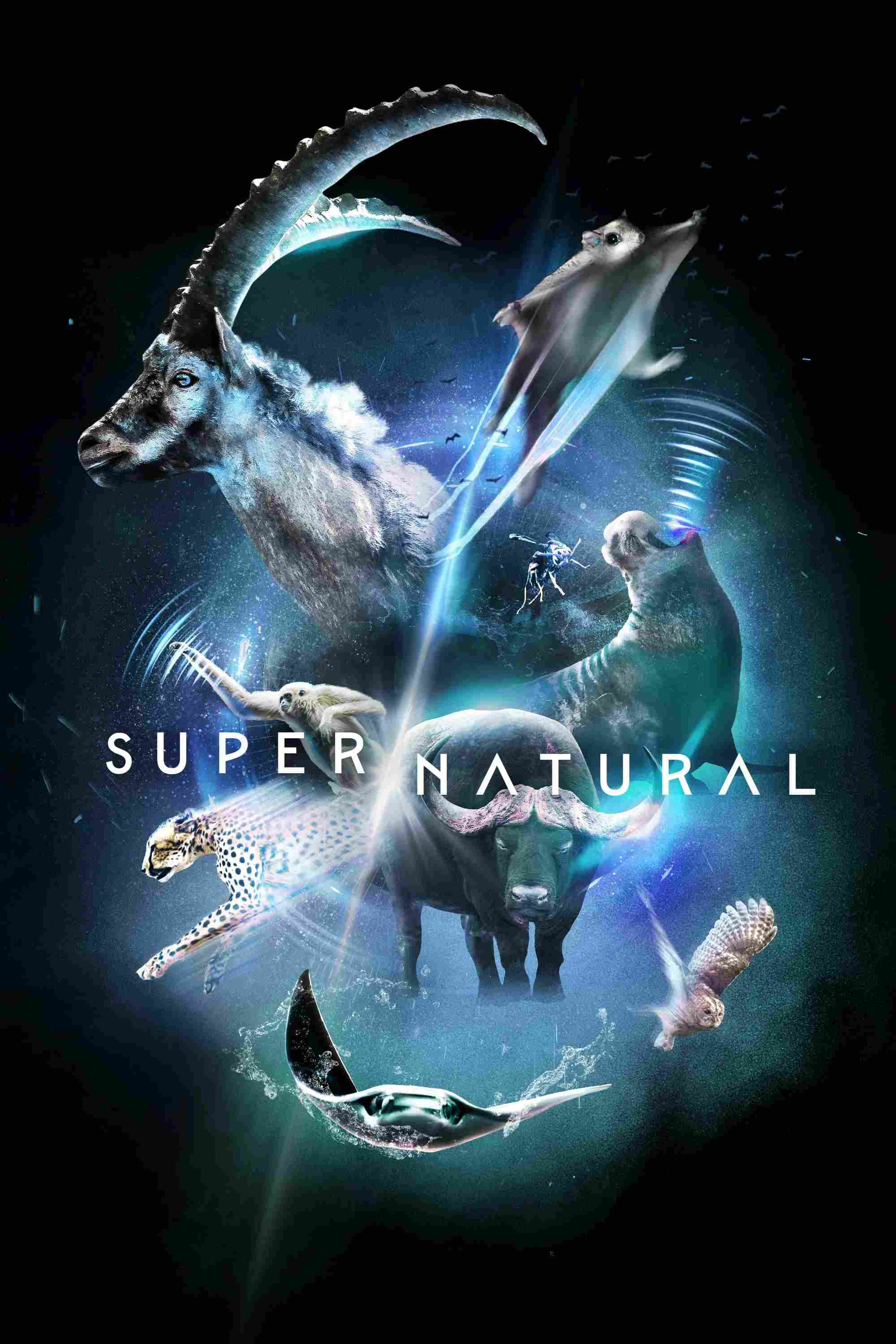 Poster chính thức của phim Phim Tài Liệu "Super/Natural" (Super/Natural - 2022), với sự tham gia của diễn viên Benedict Cumberbatch.