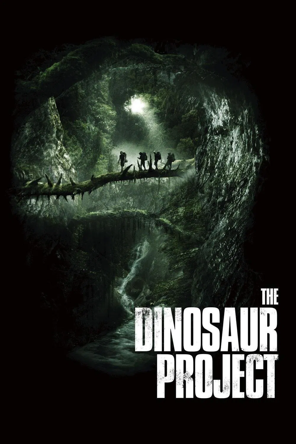Poster chính thức của phim Phim Phiêu Lưu, Phim Hành Động "Thám Hiểm Vùng Đất Lạ" (The Dinosaur Project - 2012), với sự tham gia của diễn viên Natasha Loring và Matt Kane.