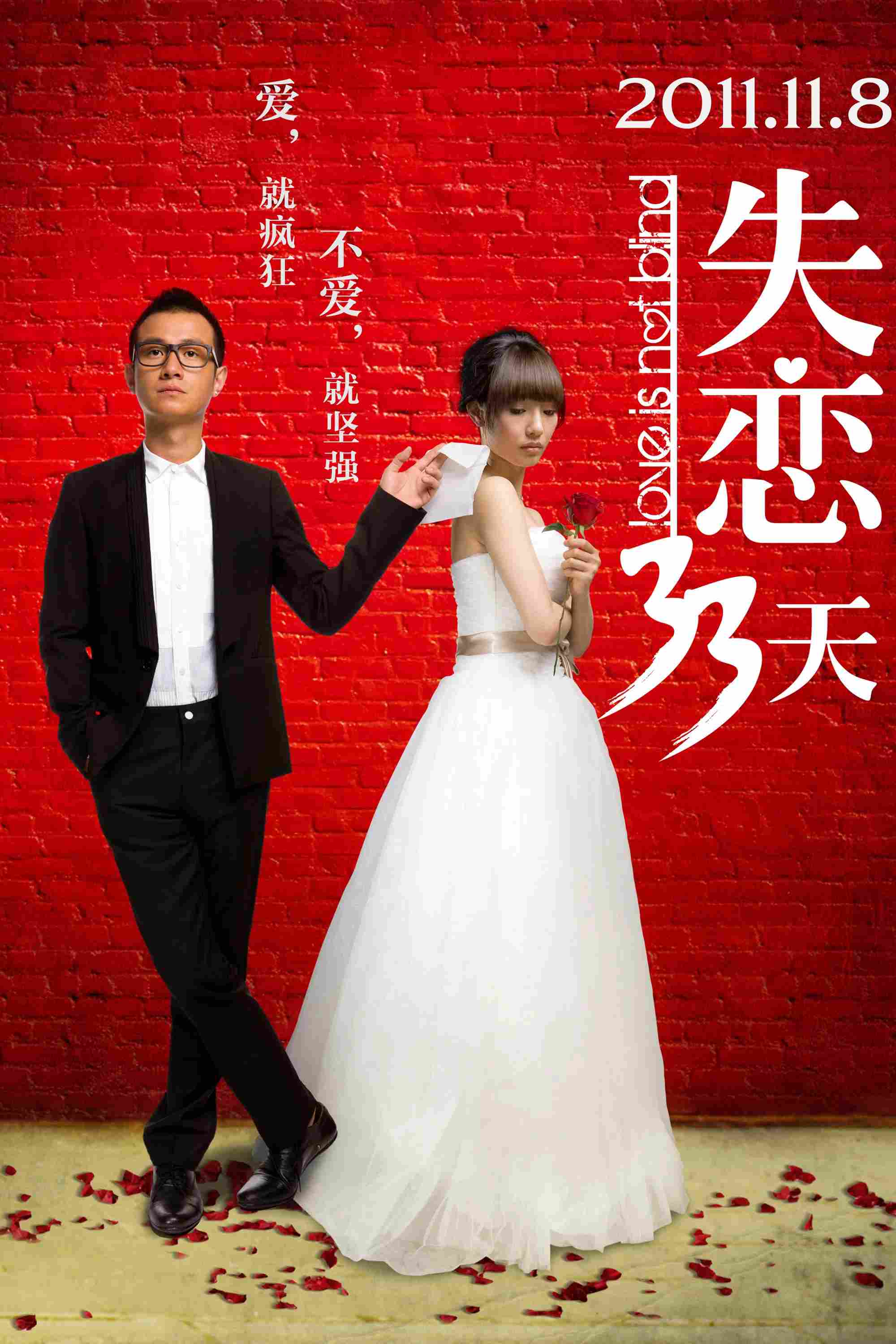 Poster chính thức của phim Phim Tâm Lý, Phim Tình Cảm "Thất Tình 33 Ngày" (Love is Not Blind - 2011), với sự tham gia của diễn viên Văn Chương và Bạch Bách Hà.