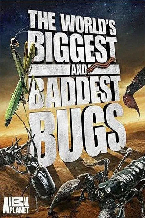 Poster chính thức của phim Phim Tài Liệu "Thế Giới Côn Trùng Khổng Lồ và Nguy Hiểm" (The World's Biggest and Baddest Bugs - 2009).