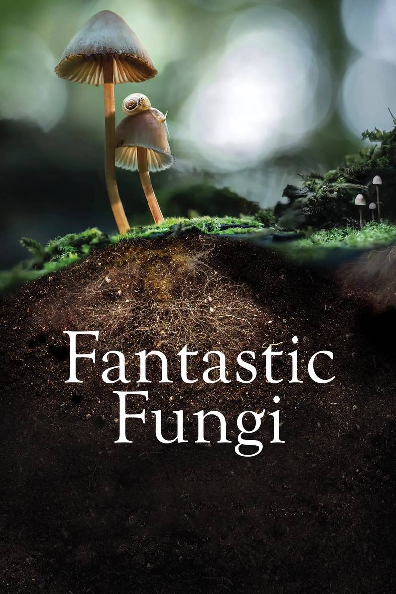 Poster chính thức của phim Phim Tài Liệu "Thế giới nấm diệu kỳ" (Fantastic Fungi - 2019), với sự tham gia của diễn viên Brie Larson và Paul Stamets.