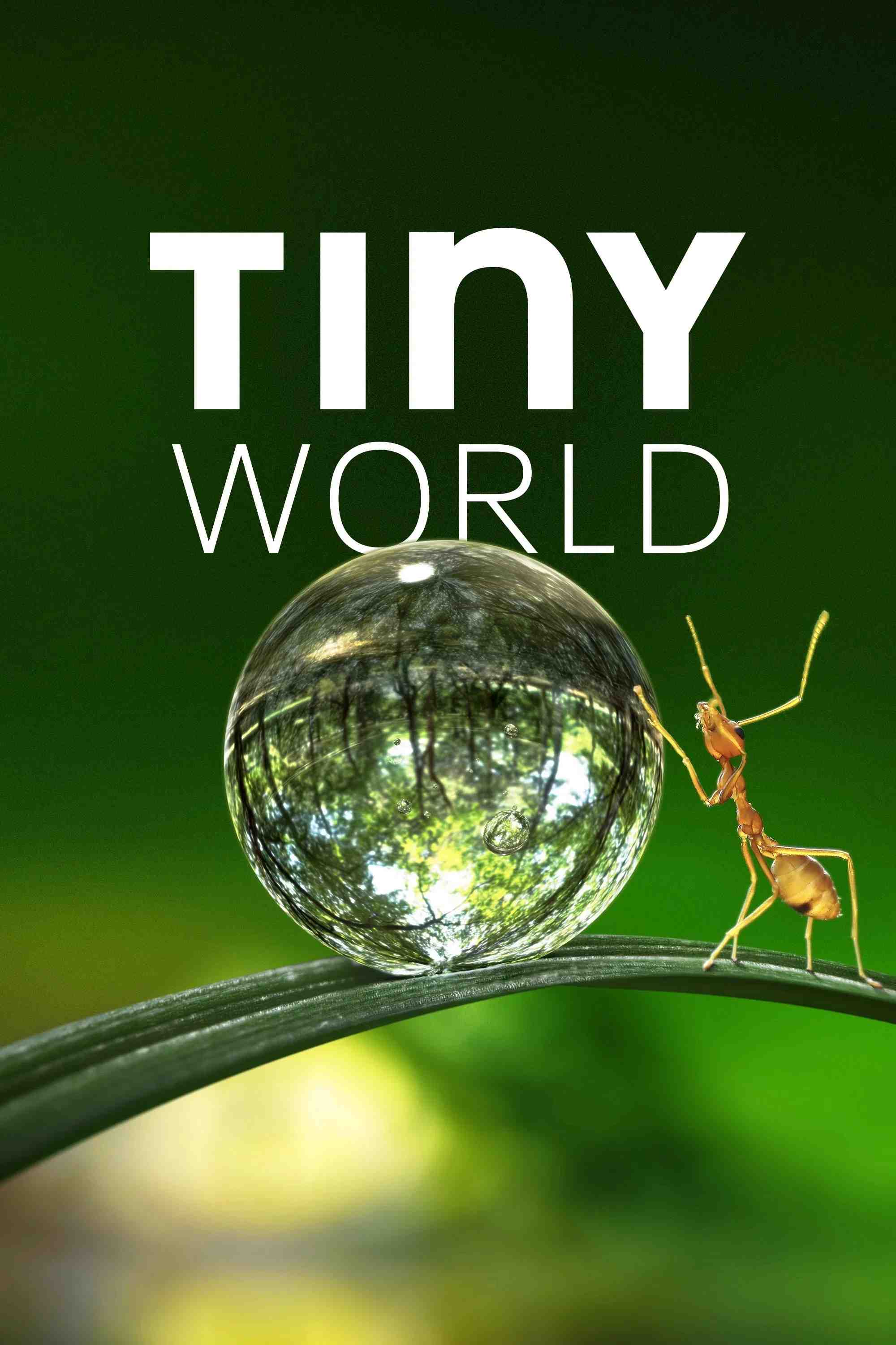 Poster chính thức của phim Phim Tài Liệu "Thế Giới Siêu Nhỏ (Phần 1)" (Tiny World - 2020), với sự tham gia của diễn viên Paul Rudd.