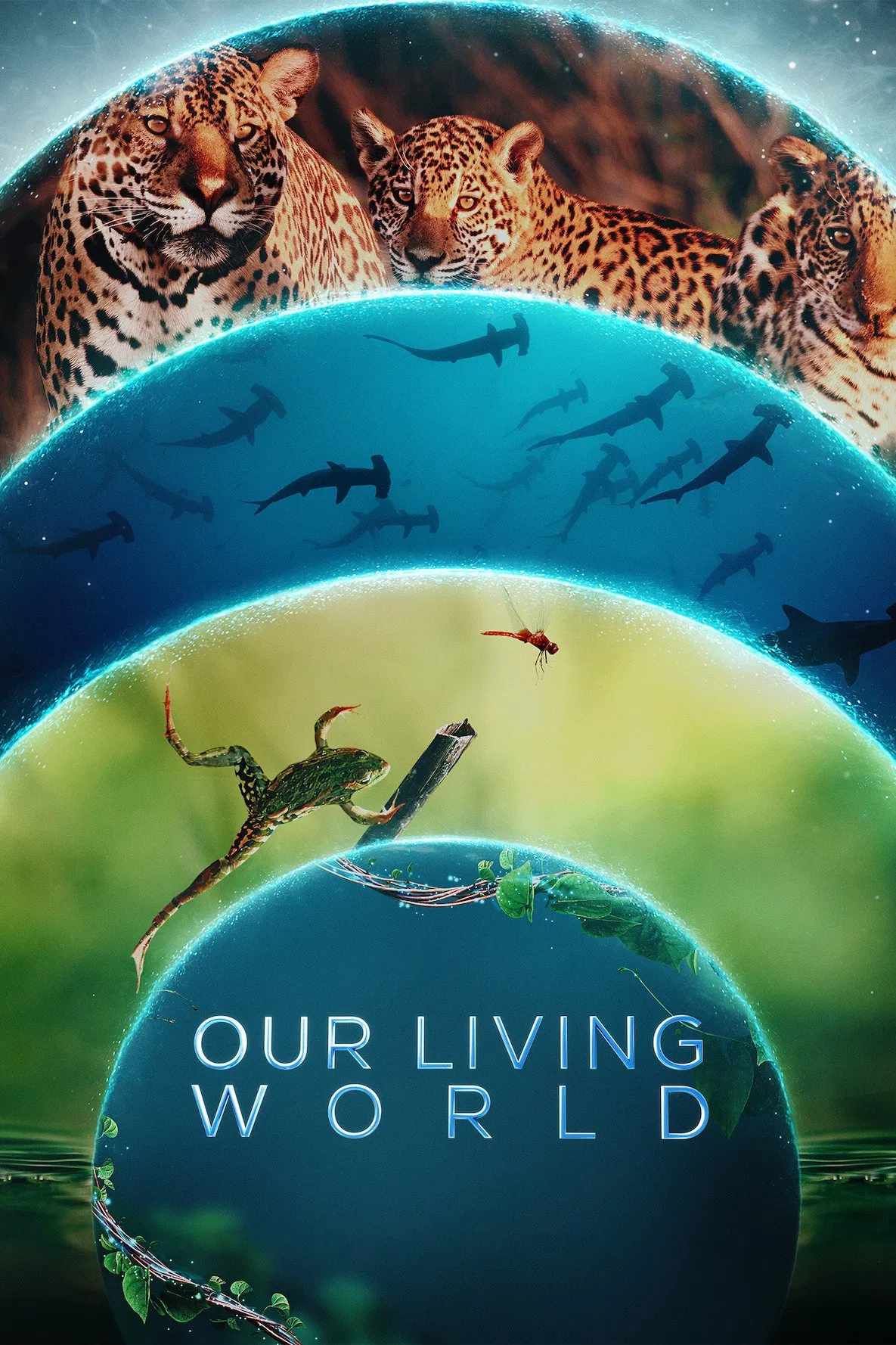 Poster chính thức của phim Phim Tài Liệu "Thế Giới Sống Của Chúng Ta" (Our Living World - 2024), với sự tham gia của diễn viên Cate Blanchett.