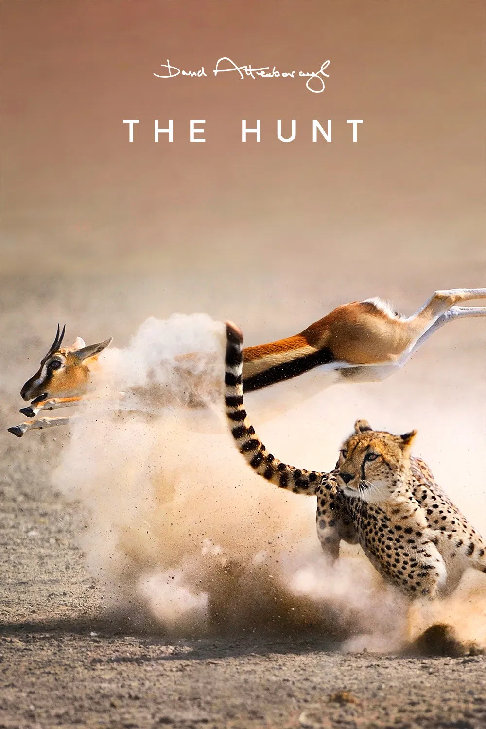 Poster chính thức của phim Phim Tài Liệu "The Hunt" (The Hunt - 2015), với sự tham gia của diễn viên David Attenborough.