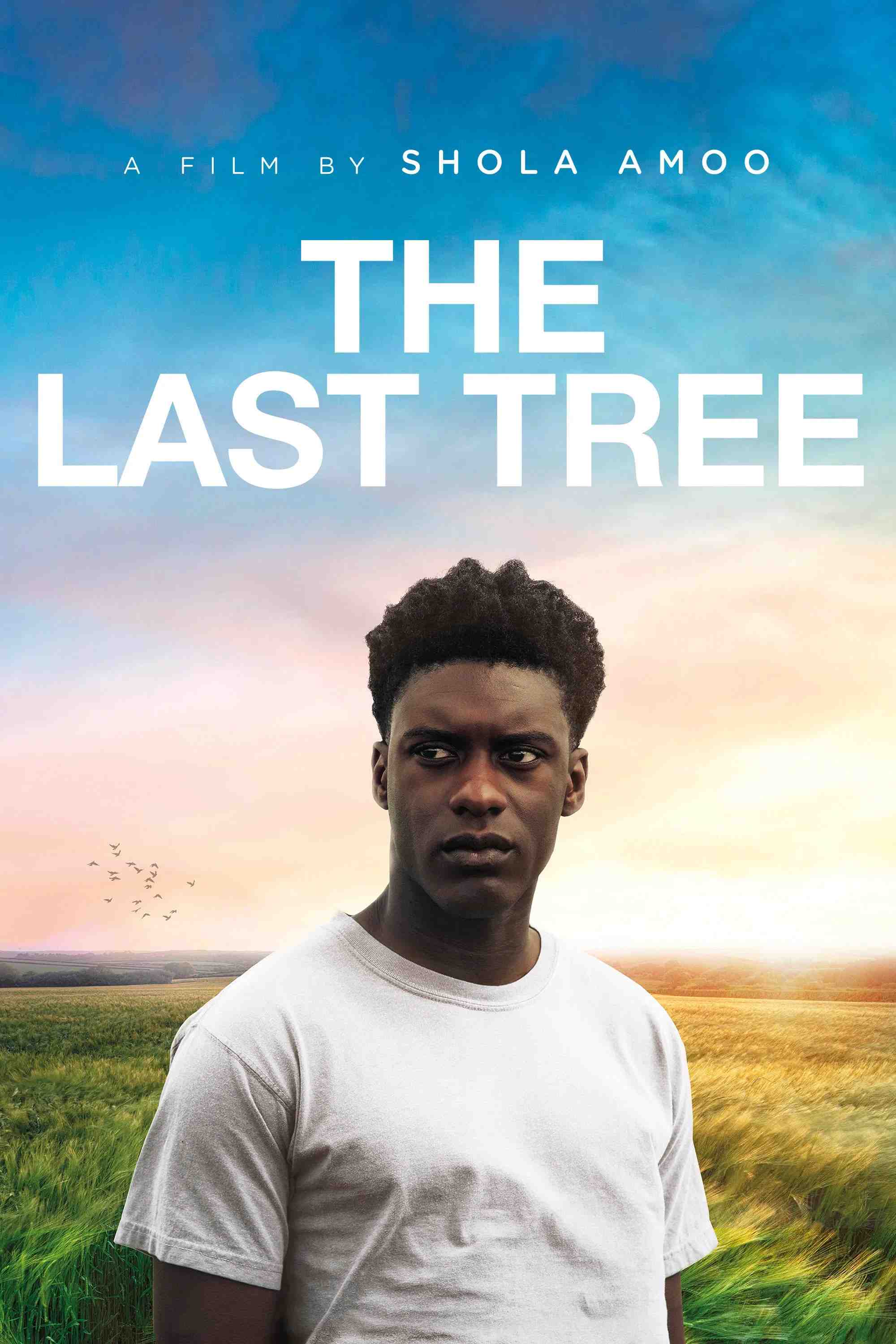 Poster chính thức của phim Phim Tâm Lý "The Last Tree" (The Last Tree - 2019), với sự tham gia của diễn viên Samuel Adewunmi và Gbemisola Ikumelo.