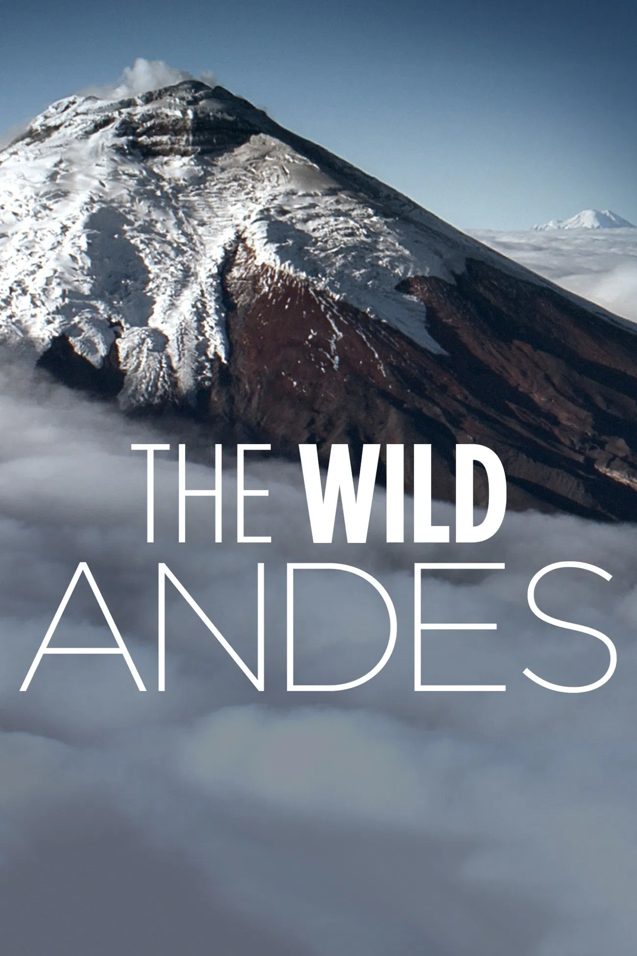 Poster chính thức của phim Phim Tài Liệu "The Wild Andes" (The Wild Andes - 2018).