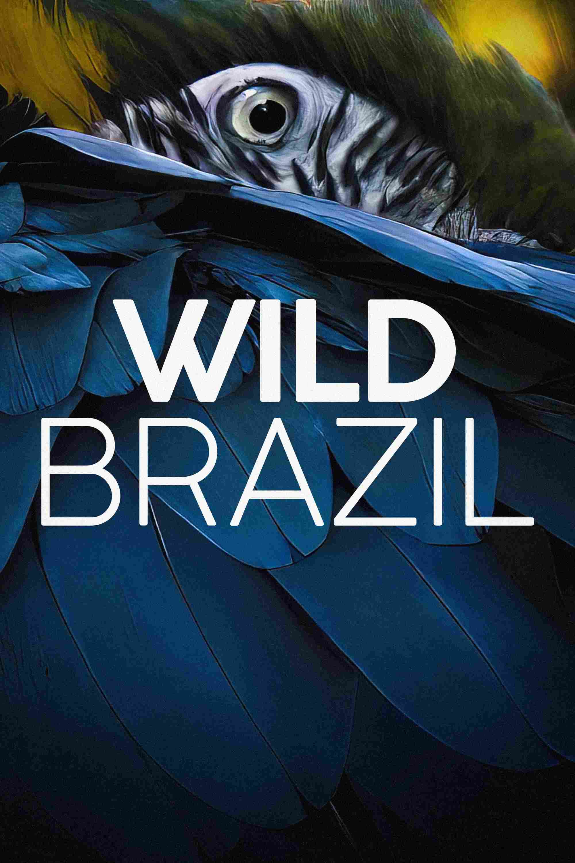 Poster chính thức của phim Phim Tài Liệu "Thiên Nhiên Brazil Hoang Dã" (Wild Brazil - 2014), với sự tham gia của diễn viên Stephen Mangan.