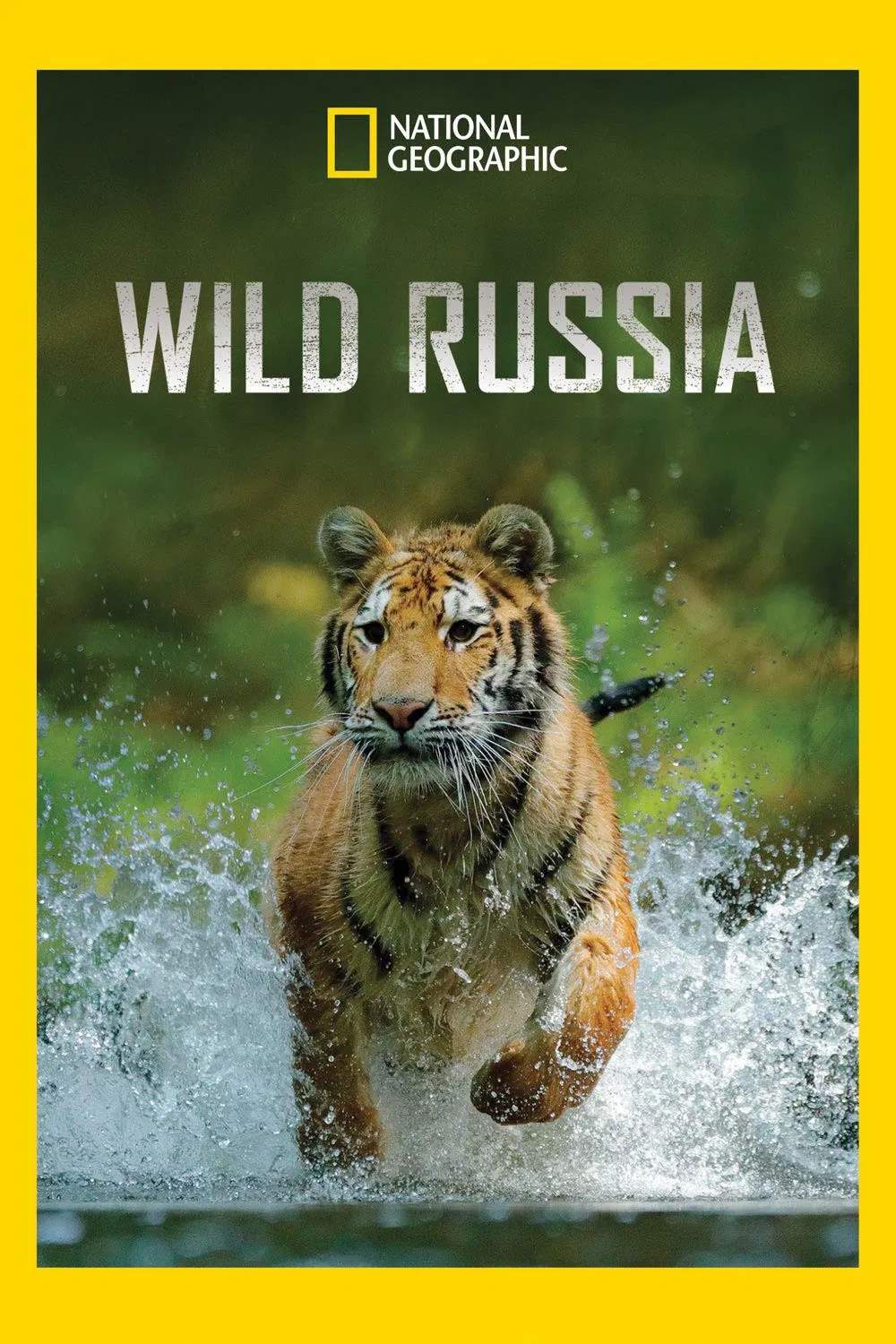 Poster chính thức của phim Phim Tài Liệu "Thiên nhiên hoang dã Nước Nga" (Wild Russia - 2008).