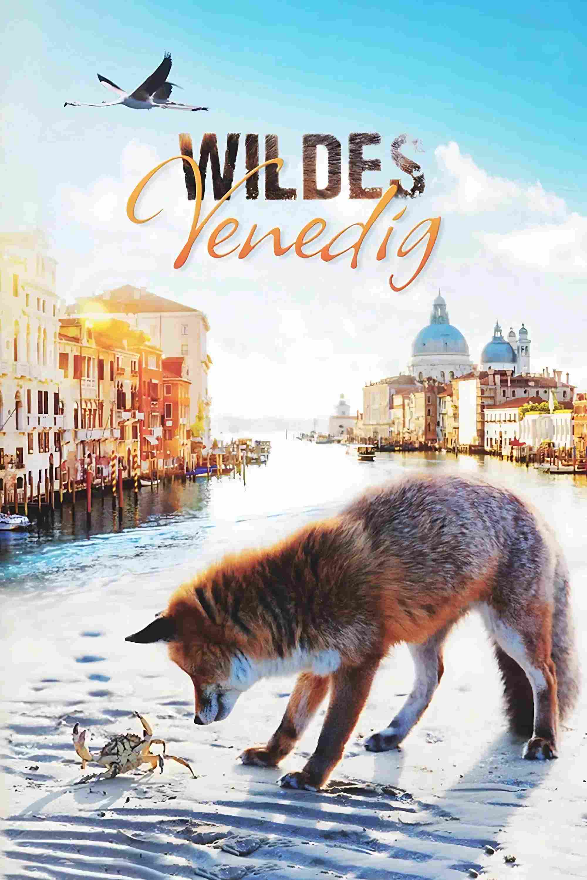 Poster chính thức của phim Phim Tài Liệu "Thiên Nhiên Hoang Dã Venice" (Wild Venice - 2014).