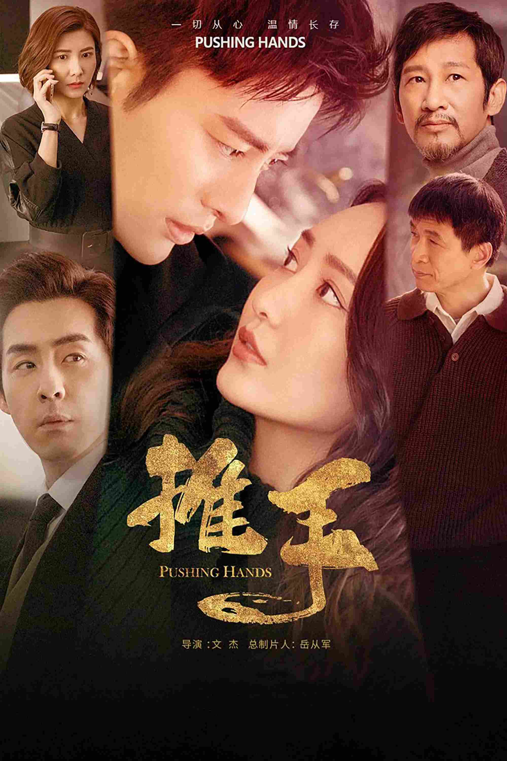 Poster chính thức của phim Phim Tâm Lý "Thôi Thủ" (Pushing Hands - 2019), với sự tham gia của diễn viên Jia Nailiang và Wang Ou.