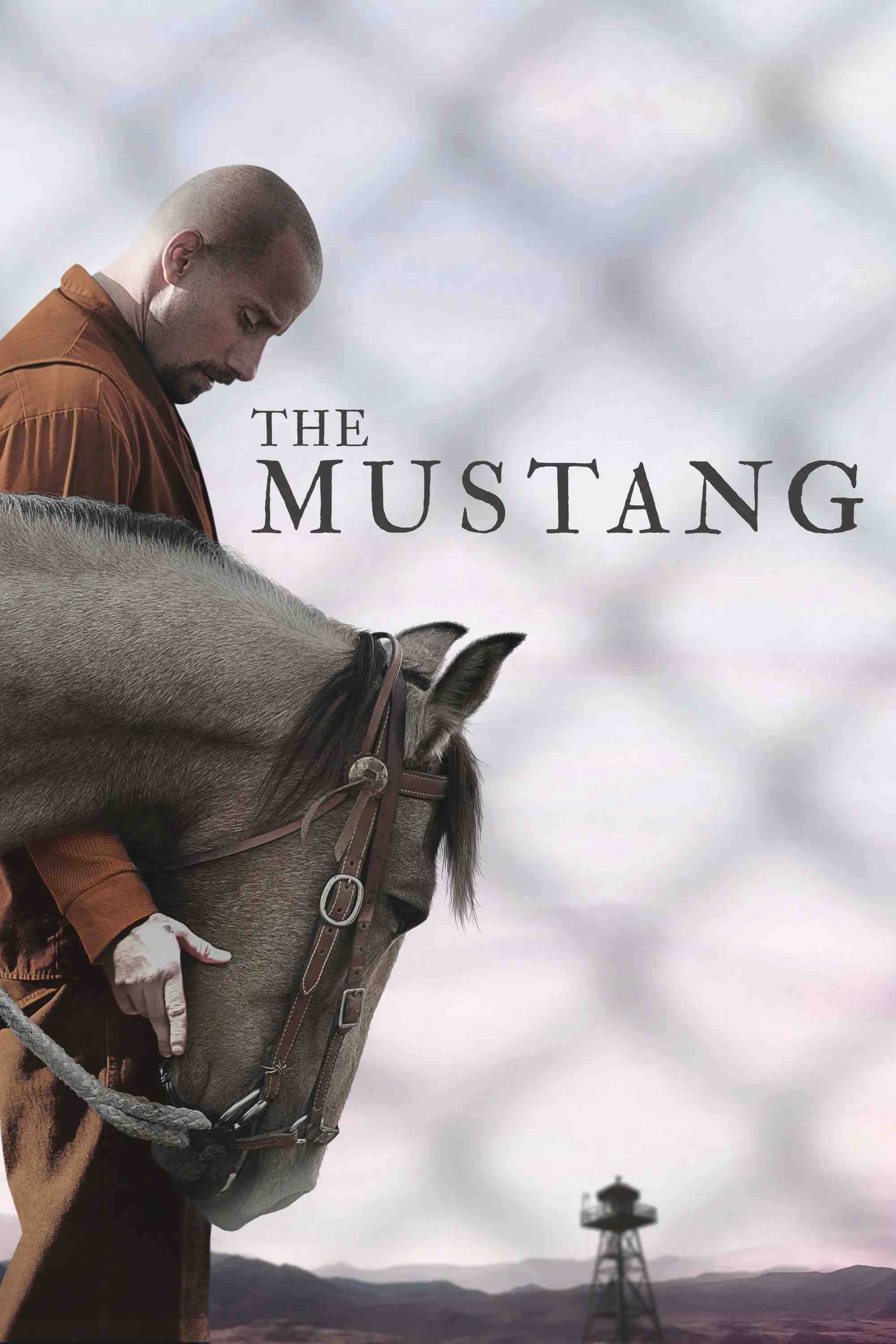 Poster chính thức của phim Phim Tâm Lý "Thuần Hóa" (The Mustang - 2019), với sự tham gia của diễn viên Matthias Schoenaerts và Jason Mitchell.