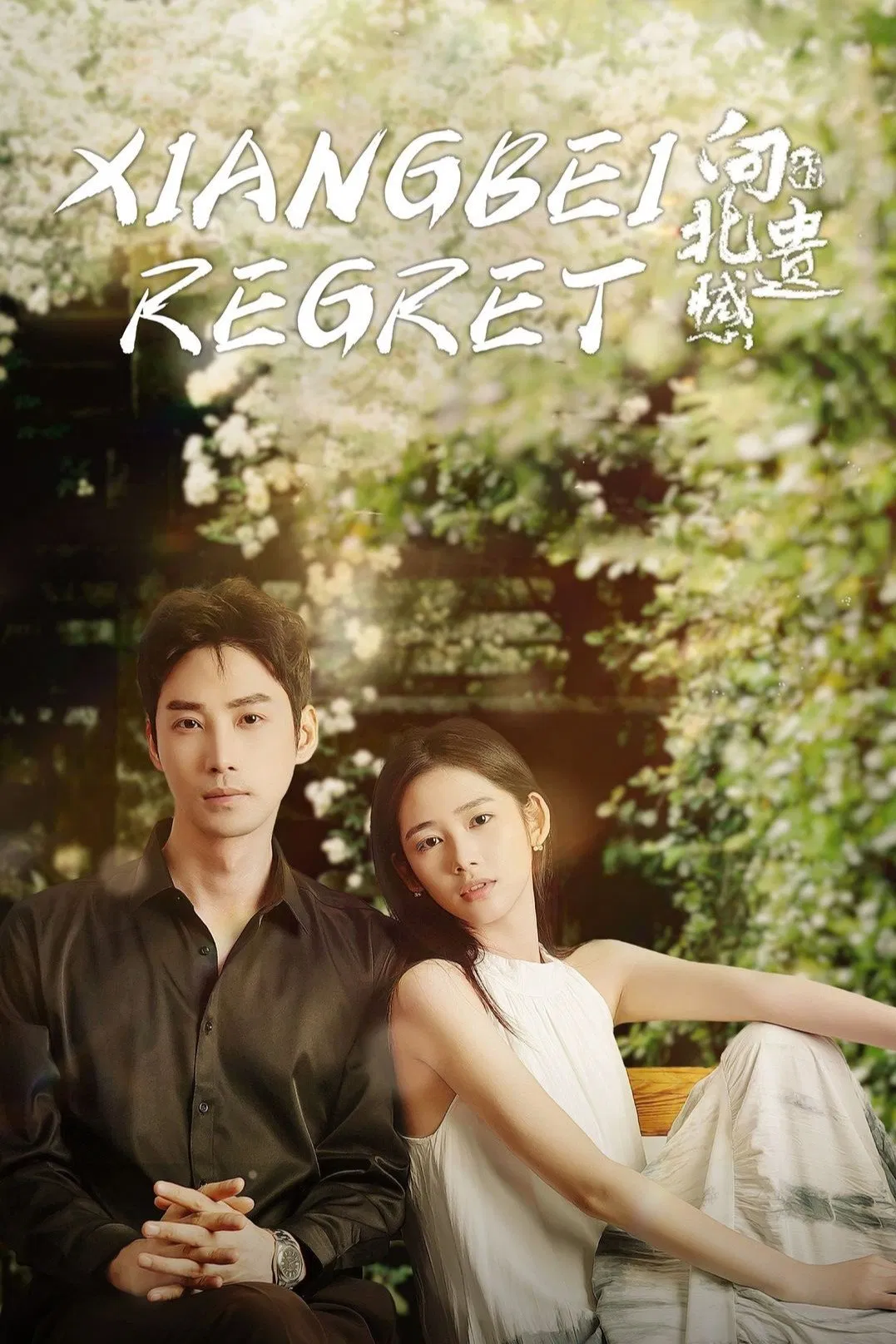 Poster chính thức của phim Phim Tâm Lý "Tiếc Nuối Của Hướng Bắc" (Xiangbei Regret - 2024), với sự tham gia của diễn viên Hạc Thu và Pang Hanchen.