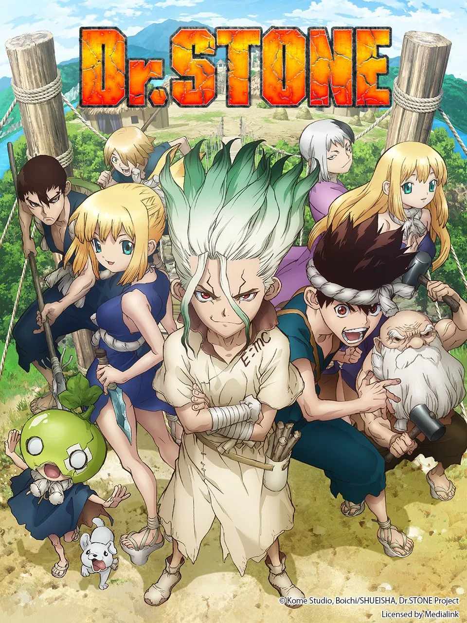 Poster chính thức của phim Phim Hoạt Hình, Phim Hành Động & Phiêu Lưu "Tiến Sĩ Đá" (Dr. STONE - 2019), với sự tham gia của diễn viên Yusuke Kobayashi và Makoto Furukawa.