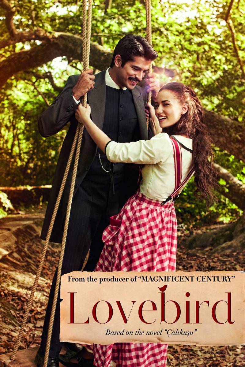 Poster chính thức của phim Phim Gia Đình, Phim Tâm Lý "Tiếng Hót Chim Hồng Tước" (Lovebird - 2013), với sự tham gia của diễn viên Fahriye Evcen và Burak Özçivit.