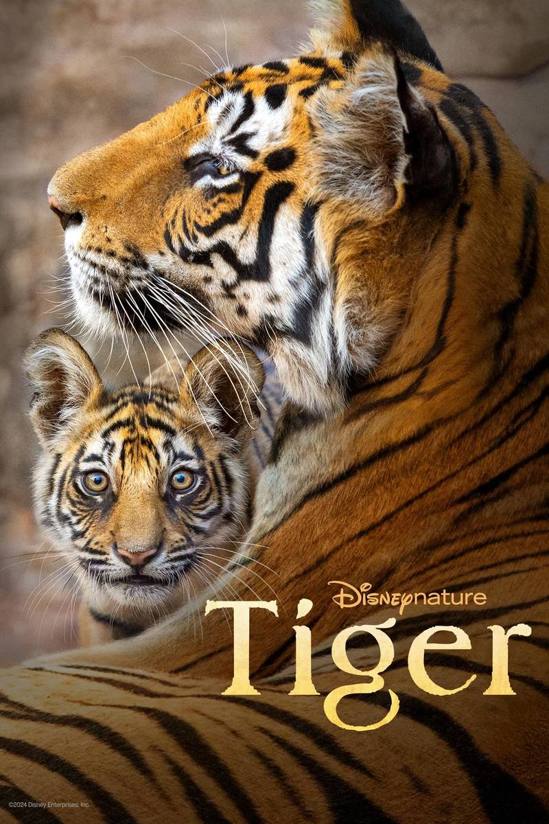 Poster chính thức của phim Phim Tài Liệu, Phim Gia Đình "Tiger" (Tiger - 2024), với sự tham gia của diễn viên Priyanka Chopra Jonas.