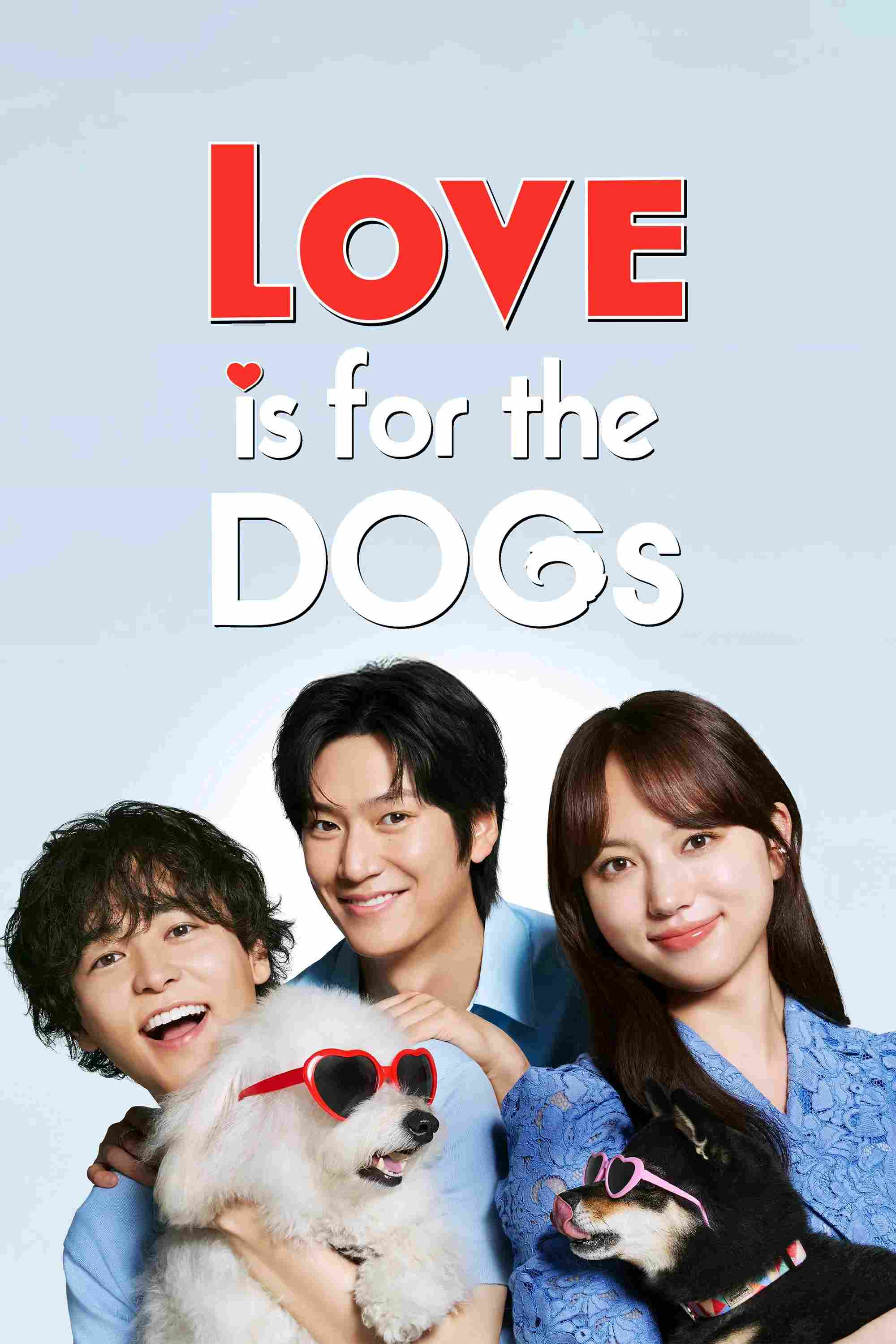 Poster chính thức của phim Phim Tâm Lý "Tình Đầu Cún Cưng" (Love Is for the Dogs - 2025), với sự tham gia của diễn viên Kaya Kiyohara và Ryo Narita.