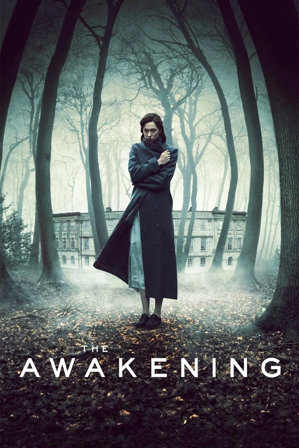 Poster chính thức của phim Phim Kinh Dị, Phim Giật Gân "Tỉnh Giấc" (The Awakening - 2011), với sự tham gia của diễn viên Rebecca Hall và Dominic West.