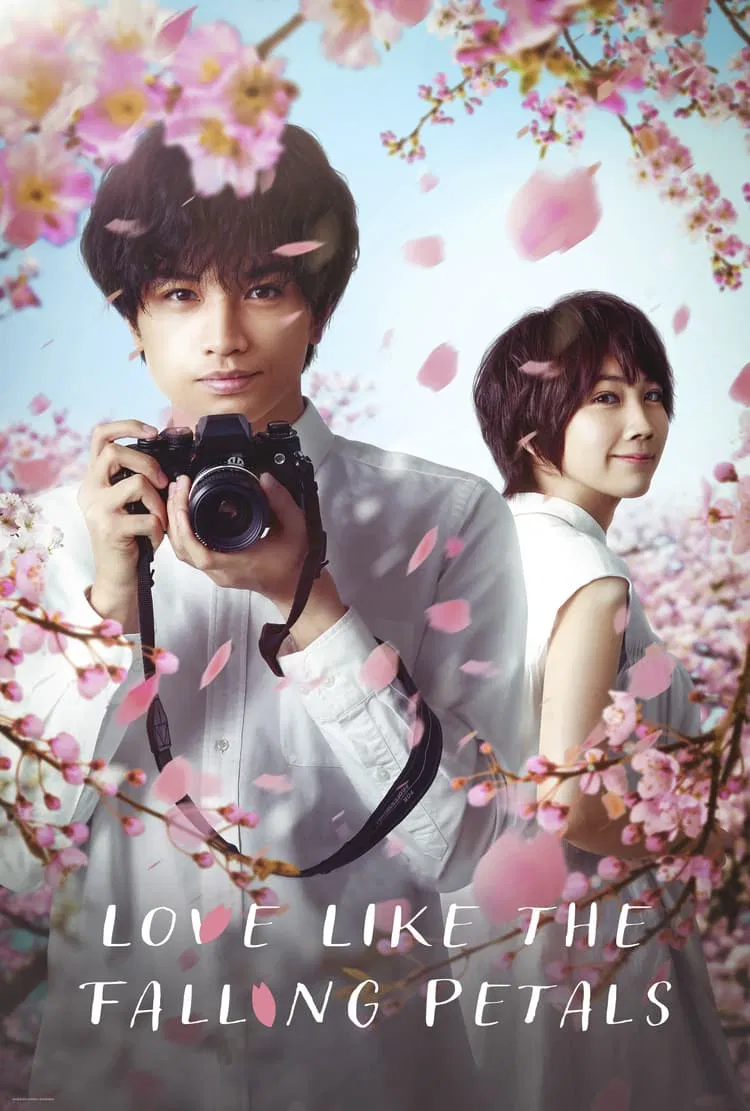Poster chính thức của phim Phim Tâm Lý, Phim Tình Cảm "Tình Yêu Như Cánh Hoa Rơi" (Love Like the Falling Petals - 2022), với sự tham gia của diễn viên Kento Nakajima và Honoka Matsumoto.